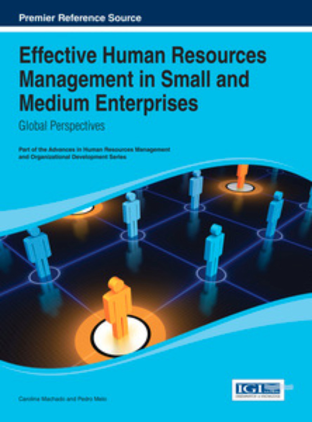 Effective Human Resources Management in Small and Medium Enterprises: Global Perspectives Global Perspectives 