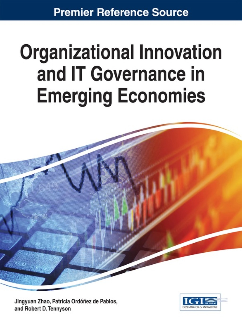 Organizational Innovation and IT Governance in Emerging Economies 1st Edition