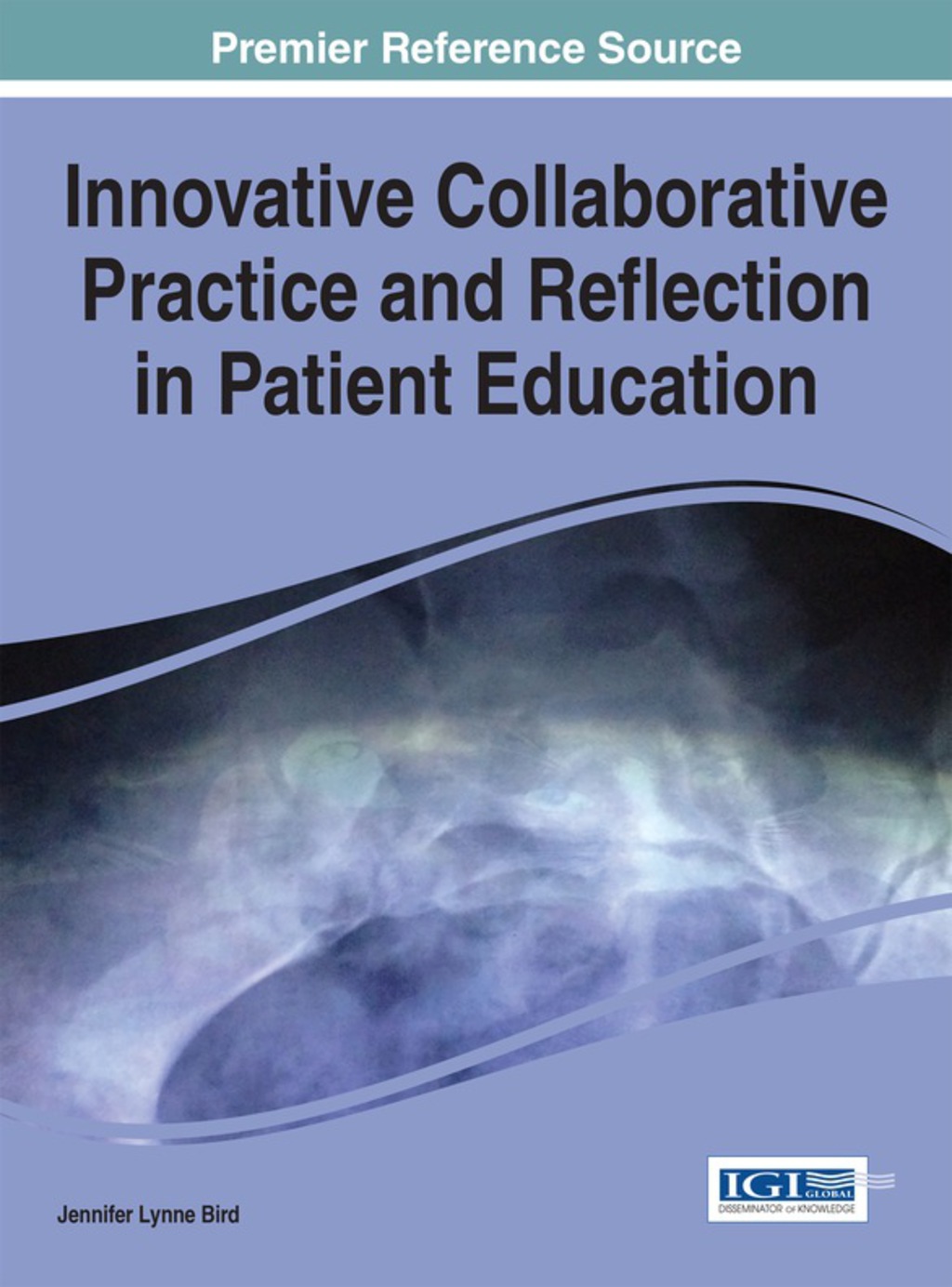 Innovative Collaborative Practice and Reflection in Patient Education 1st Edition