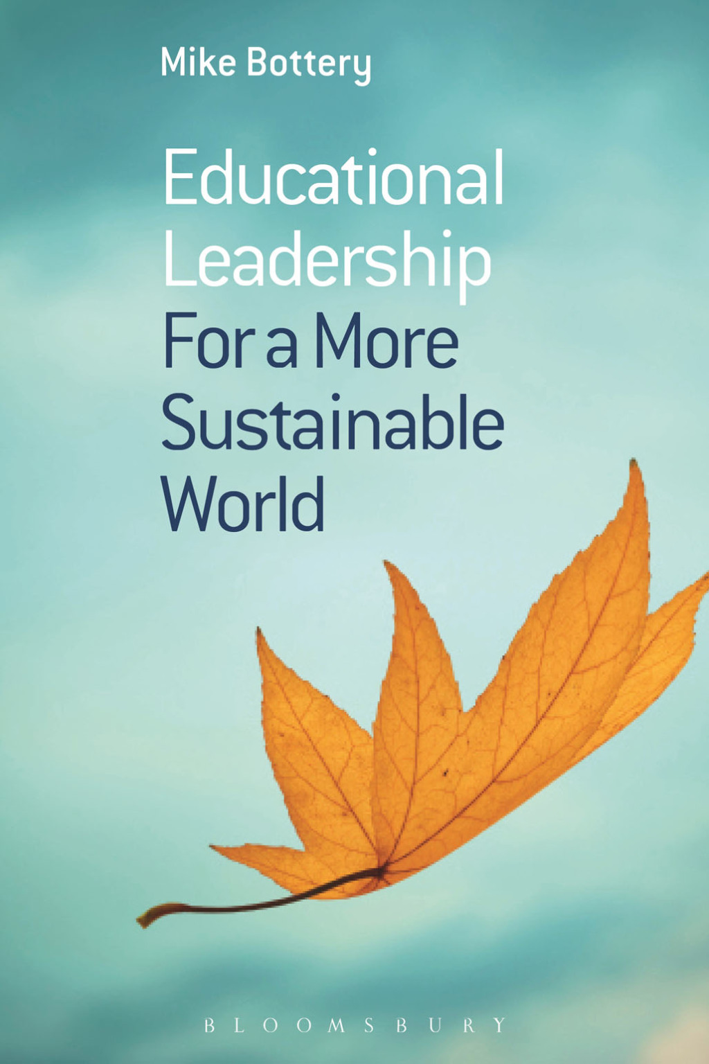 Educational Leadership for a More Sustainable World Playwright Adventurer 1st Edition
