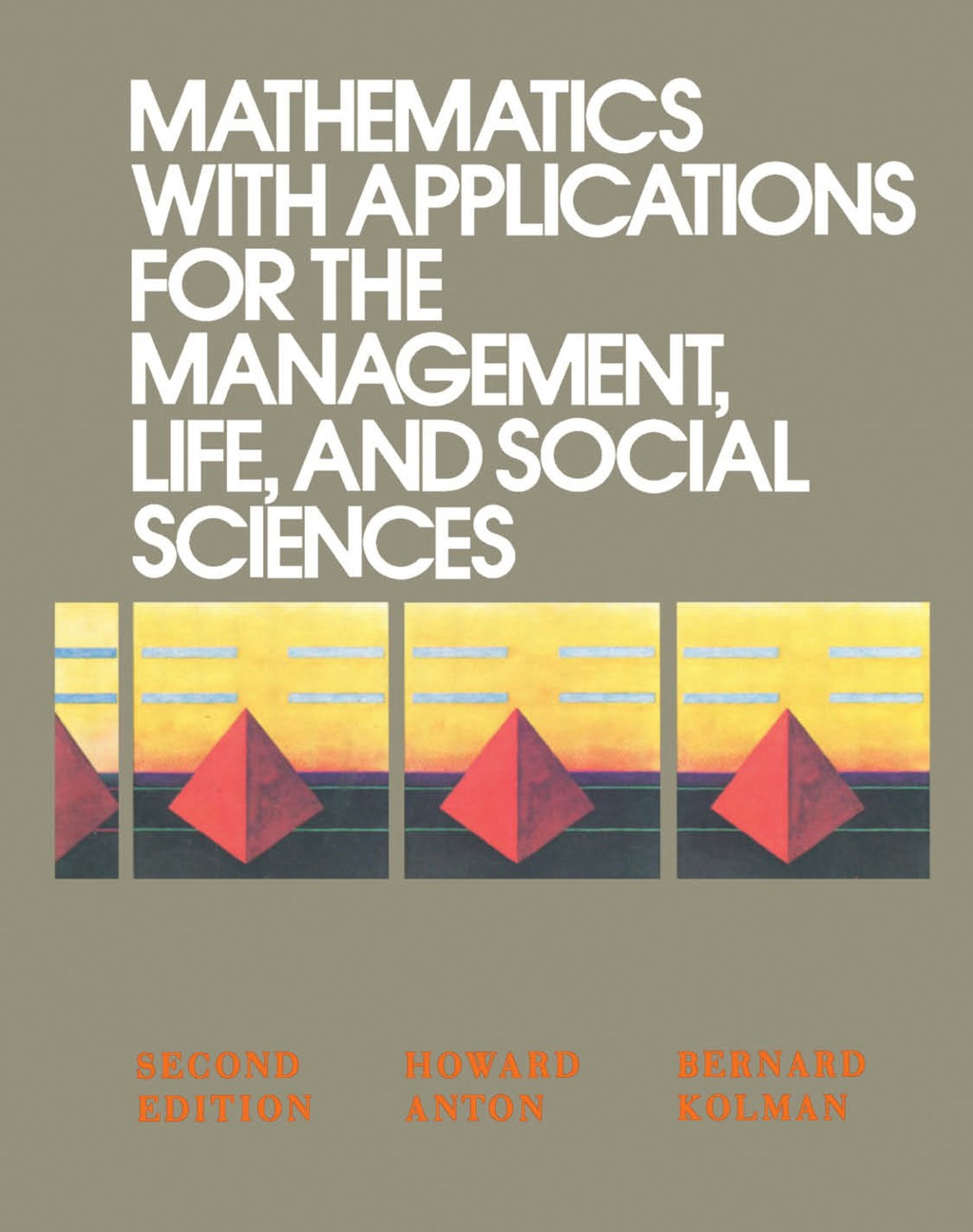 Mathematics with Applications for the Management, Life, and Social Sciences 2nd Edition