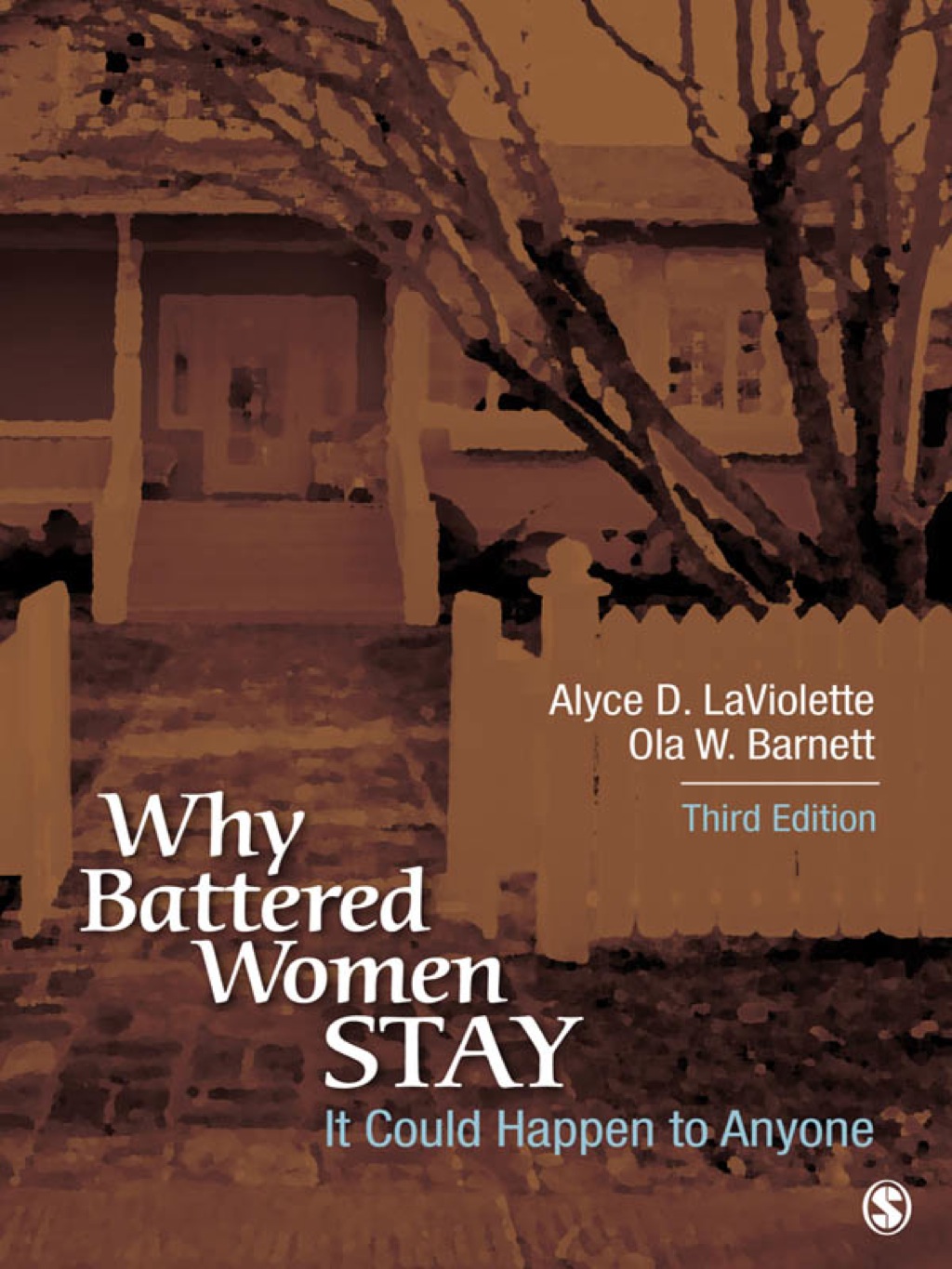It Could Happen to Anyone Why Battered Women Stay 3rd Edition