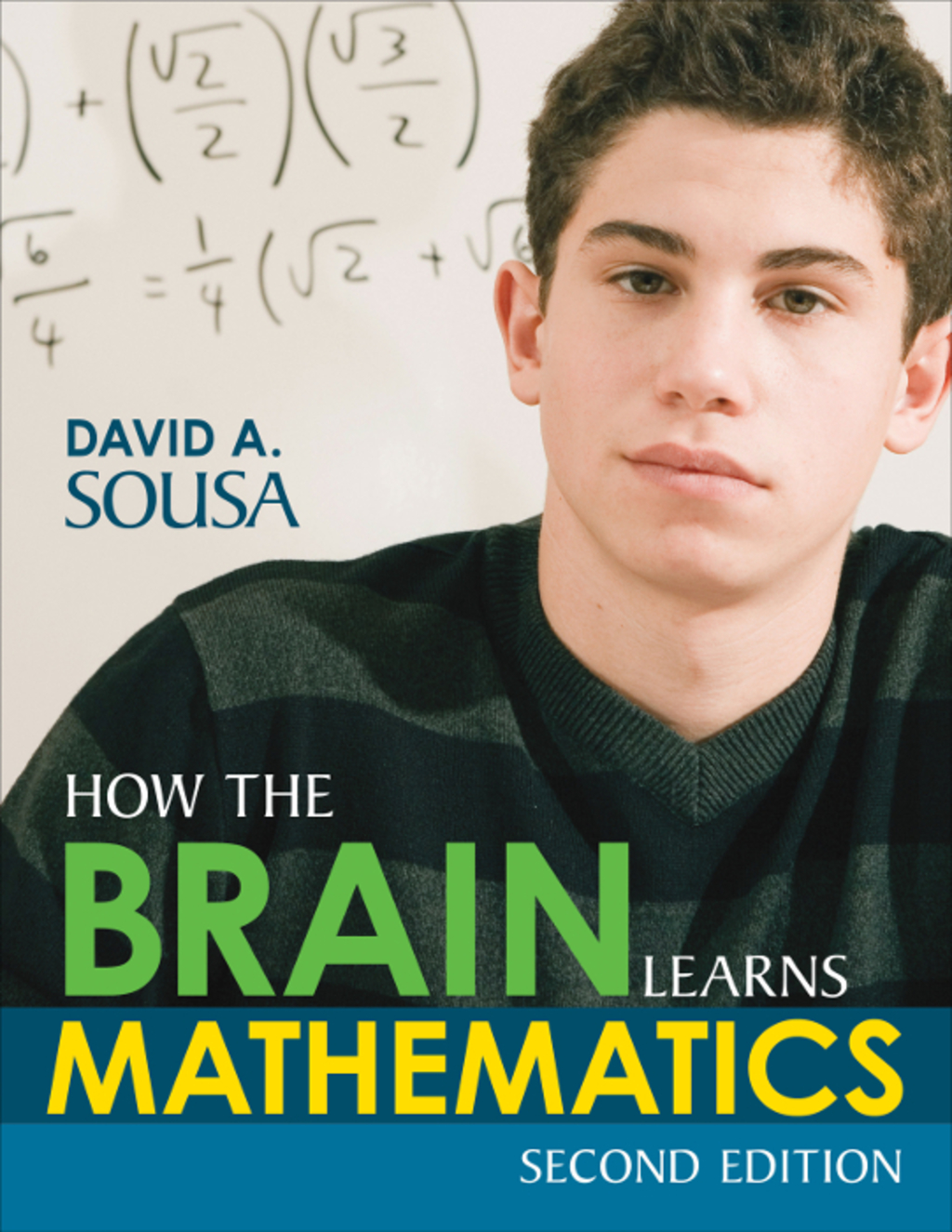 How the Brain Learns Mathematics 2nd Edition