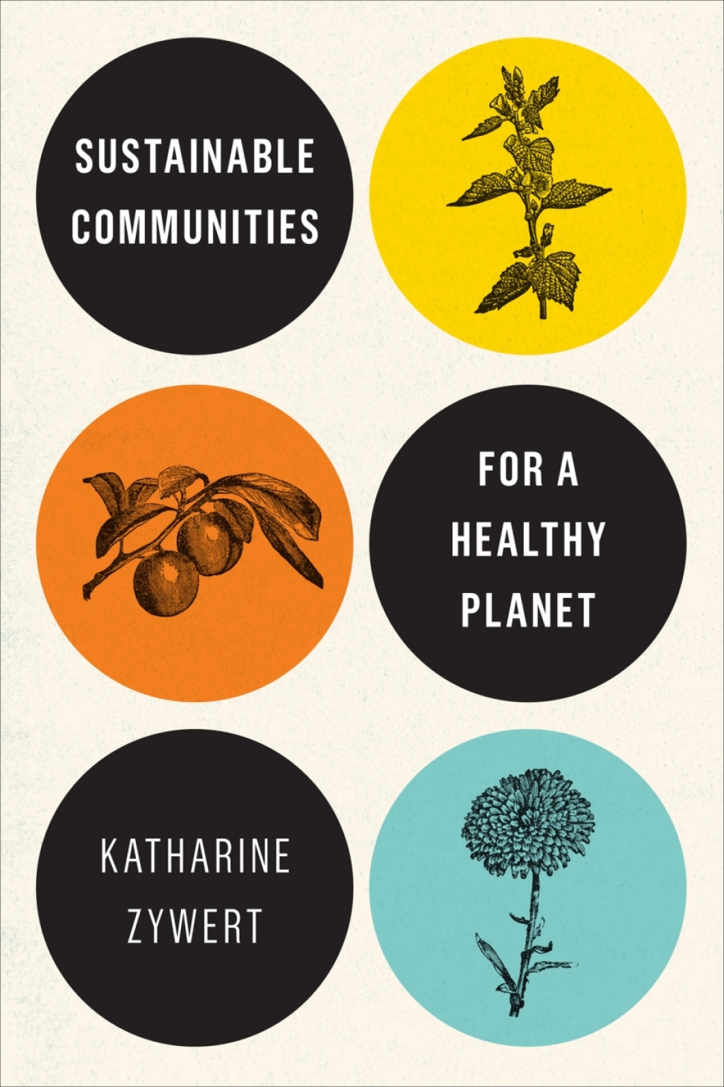 Sustainable Communities for a Healthy Planet 1st Edition
