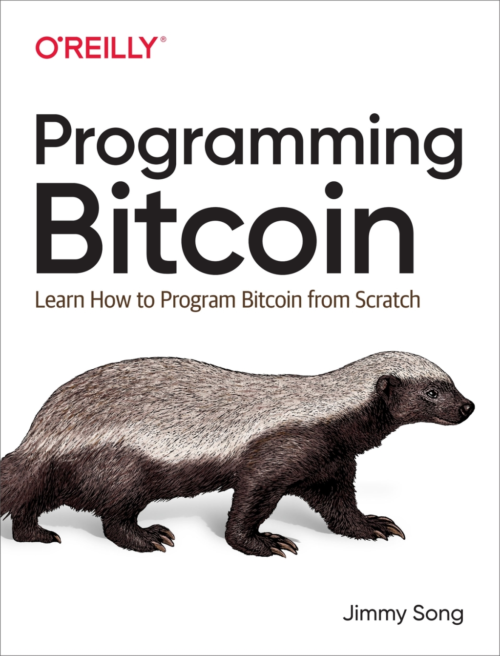 Programming Bitcoin Learn How to Program Bitcoin from Scratch 1st Edition