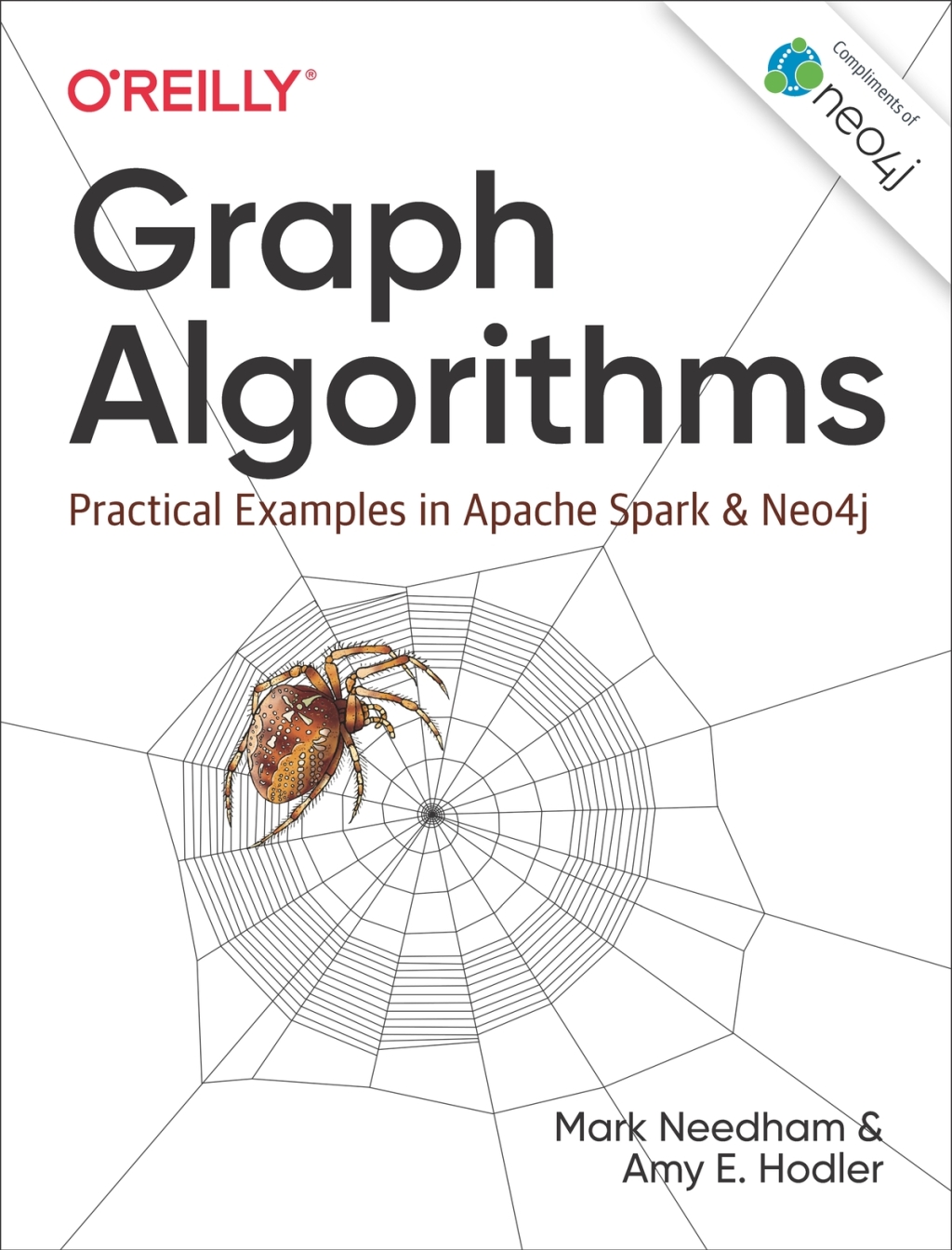 Graph Algorithms Practical Examples in Apache Spark and Neo4j 1st Edition