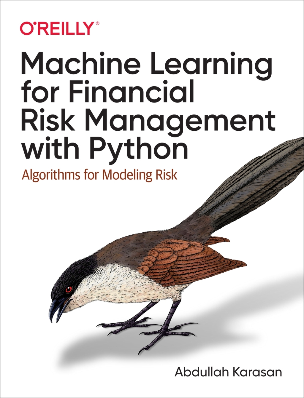 Machine Learning for Financial Risk Management with Python Algorithms for Modeling Risk 1st Edition