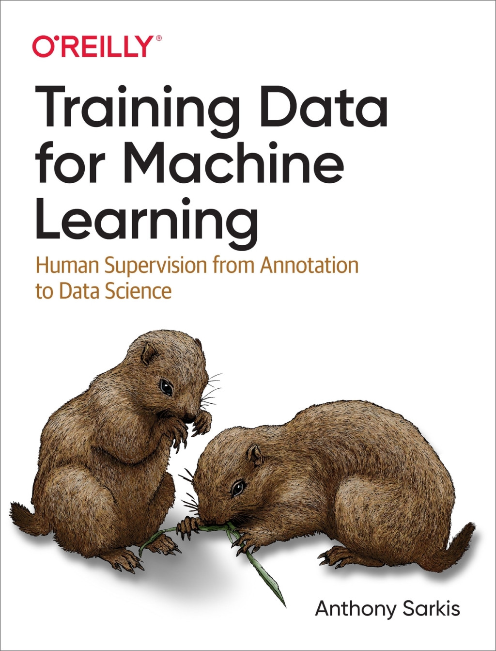 Training Data for Machine Learning Human Supervision from Annotation to Data Science 1st Edition