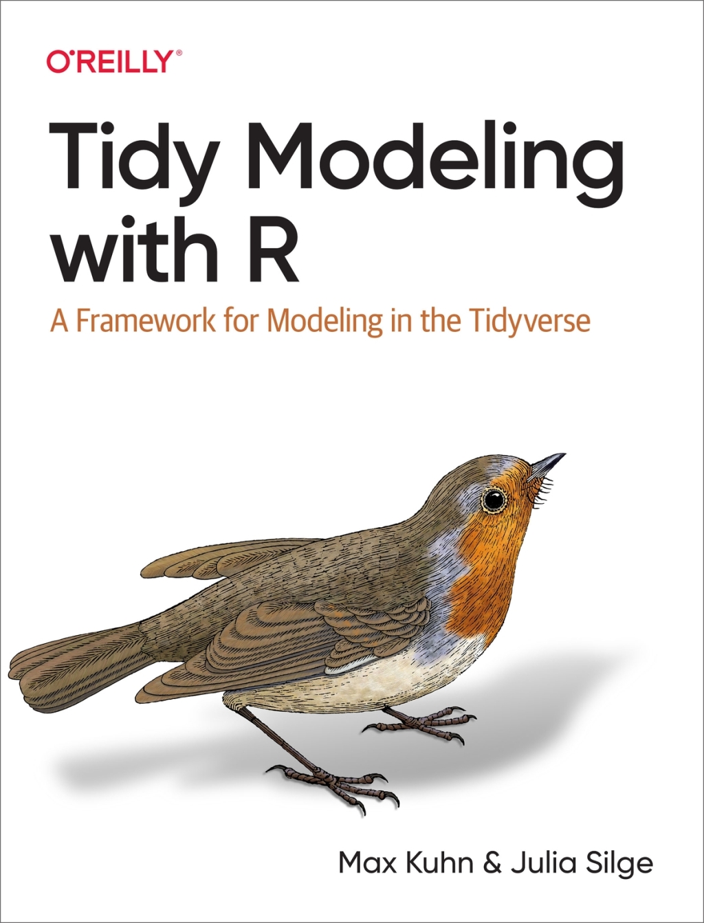 Tidy Modeling with R A Framework for Modeling in the Tidyverse 1st Edition