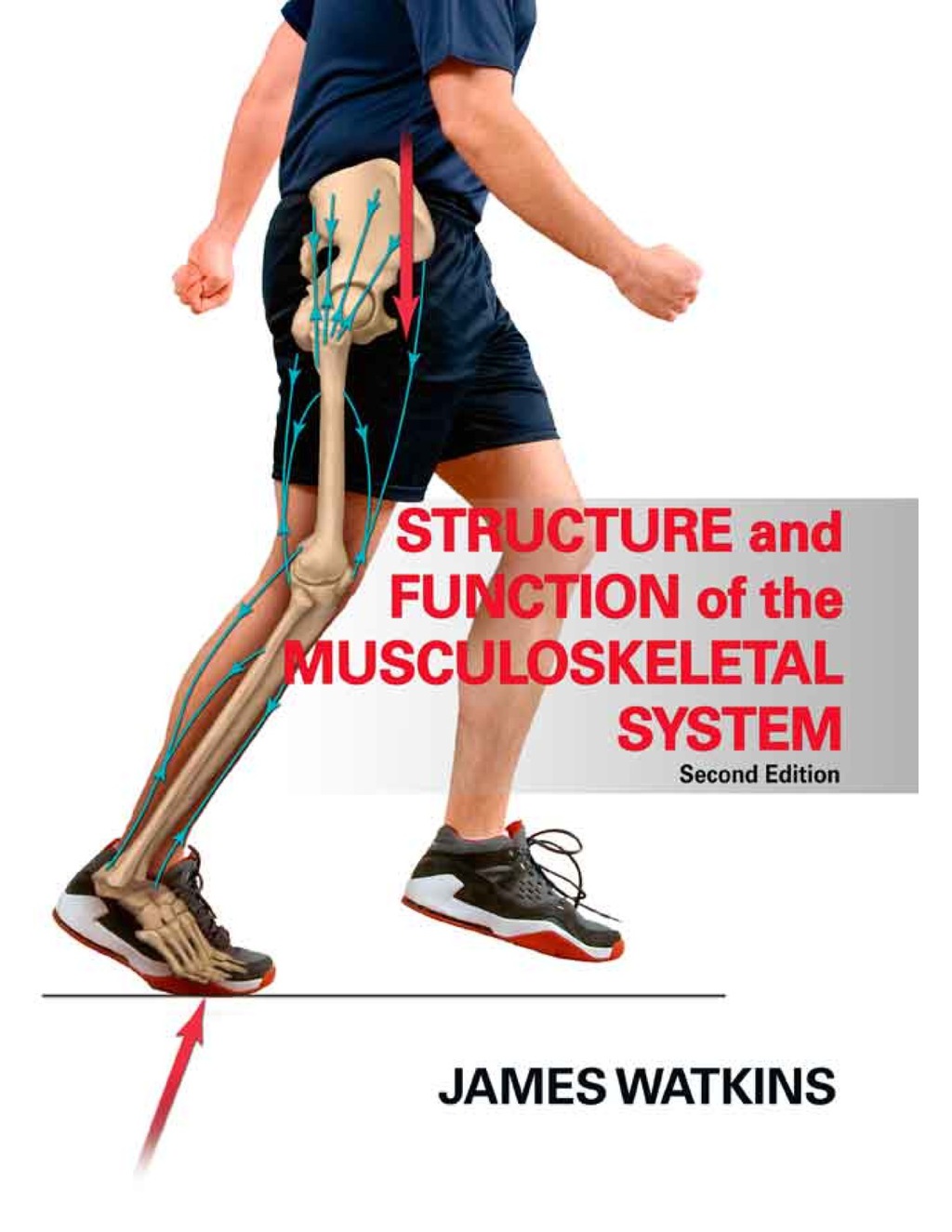 Structure and Function of the Musculoskeletal System-2nd Edition 2nd Edition