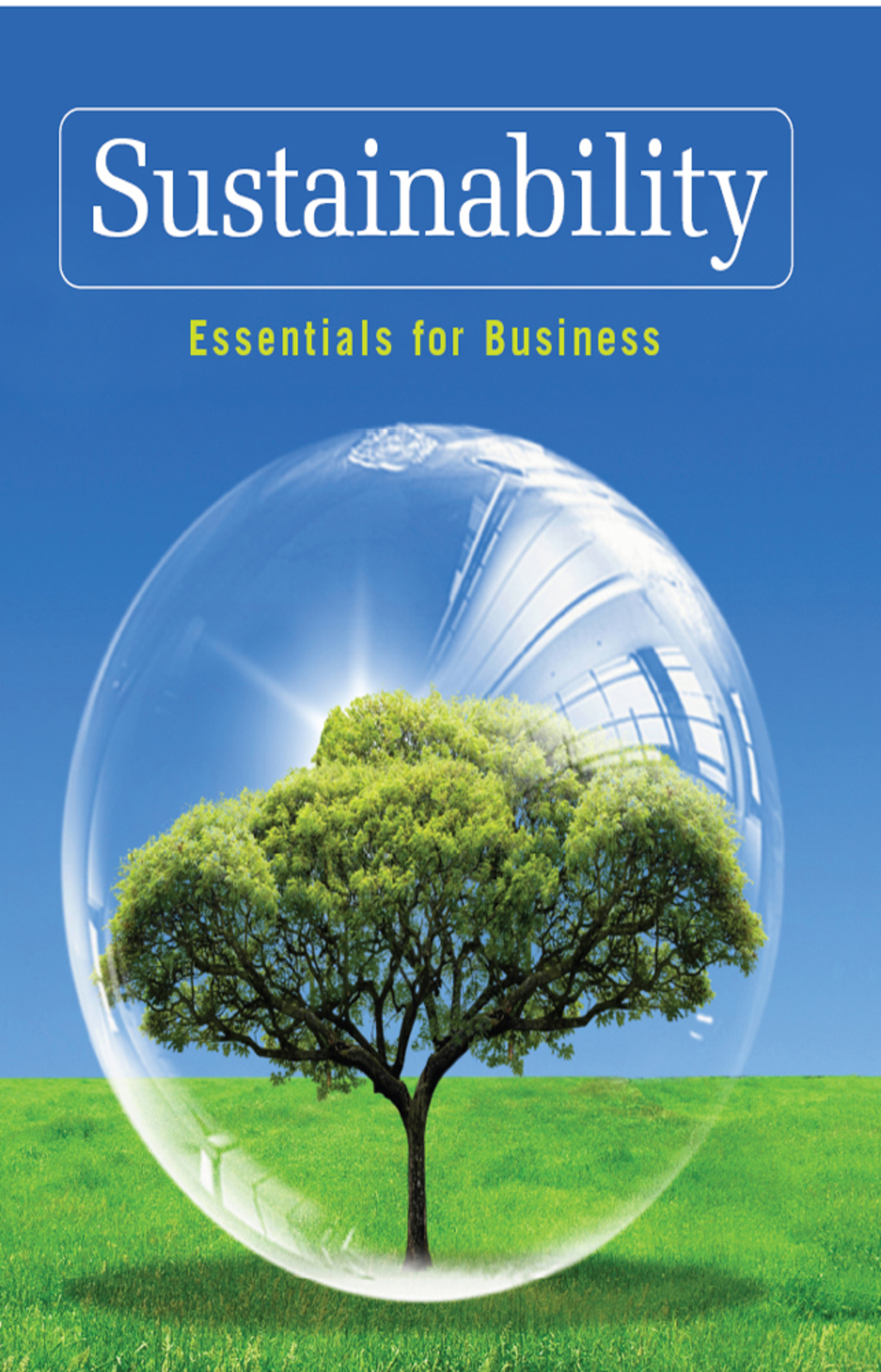 Sustainability: Essentials for Business 1st Edition