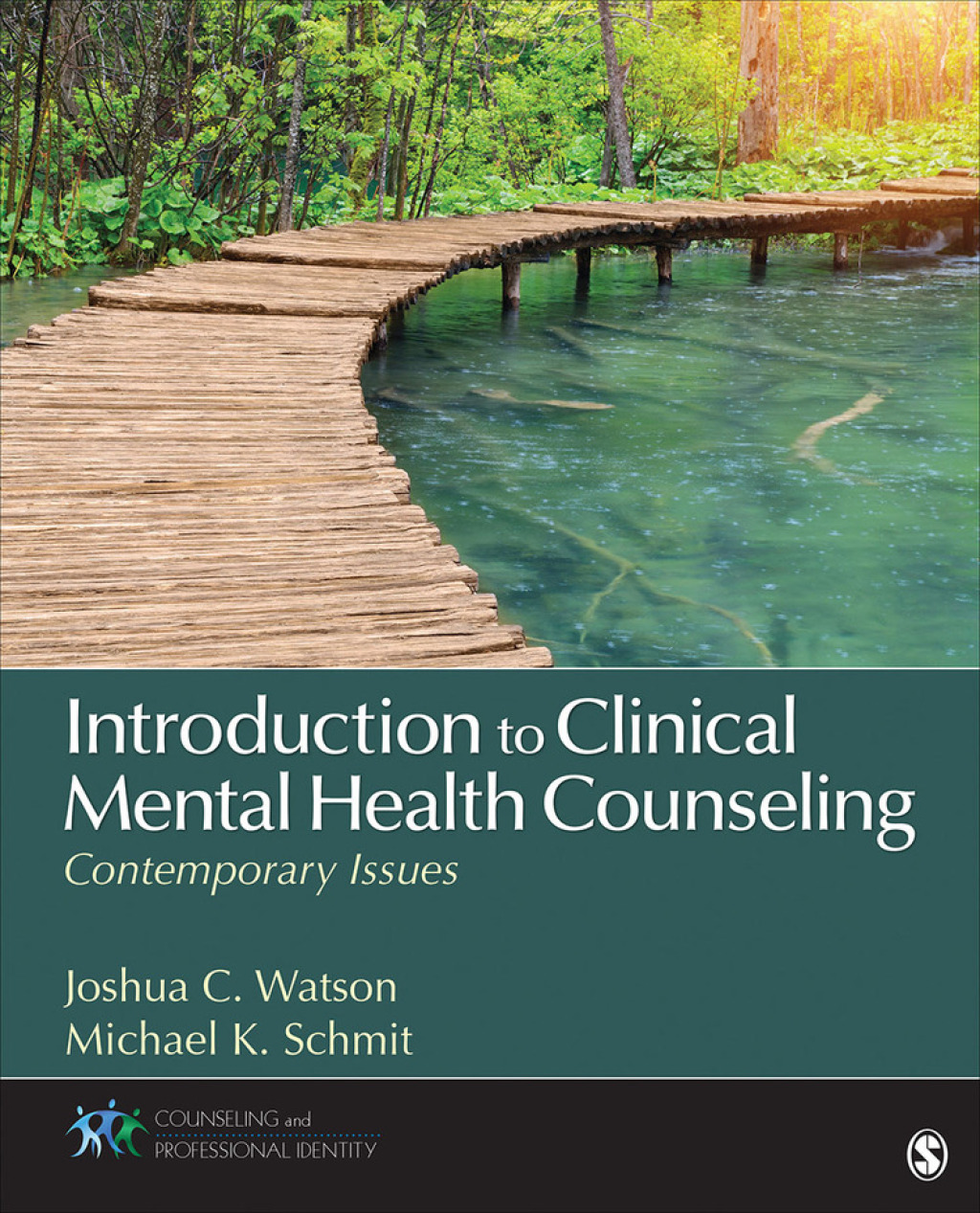 Introduction to Clinical Mental Health Counseling Contemporary Issues 1st Edition