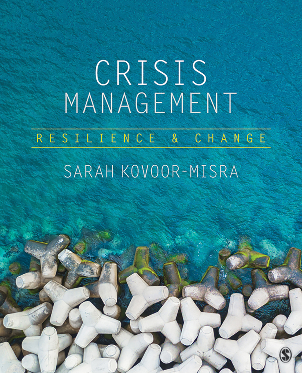 Crisis Management Resilience and Change 1st Edition
