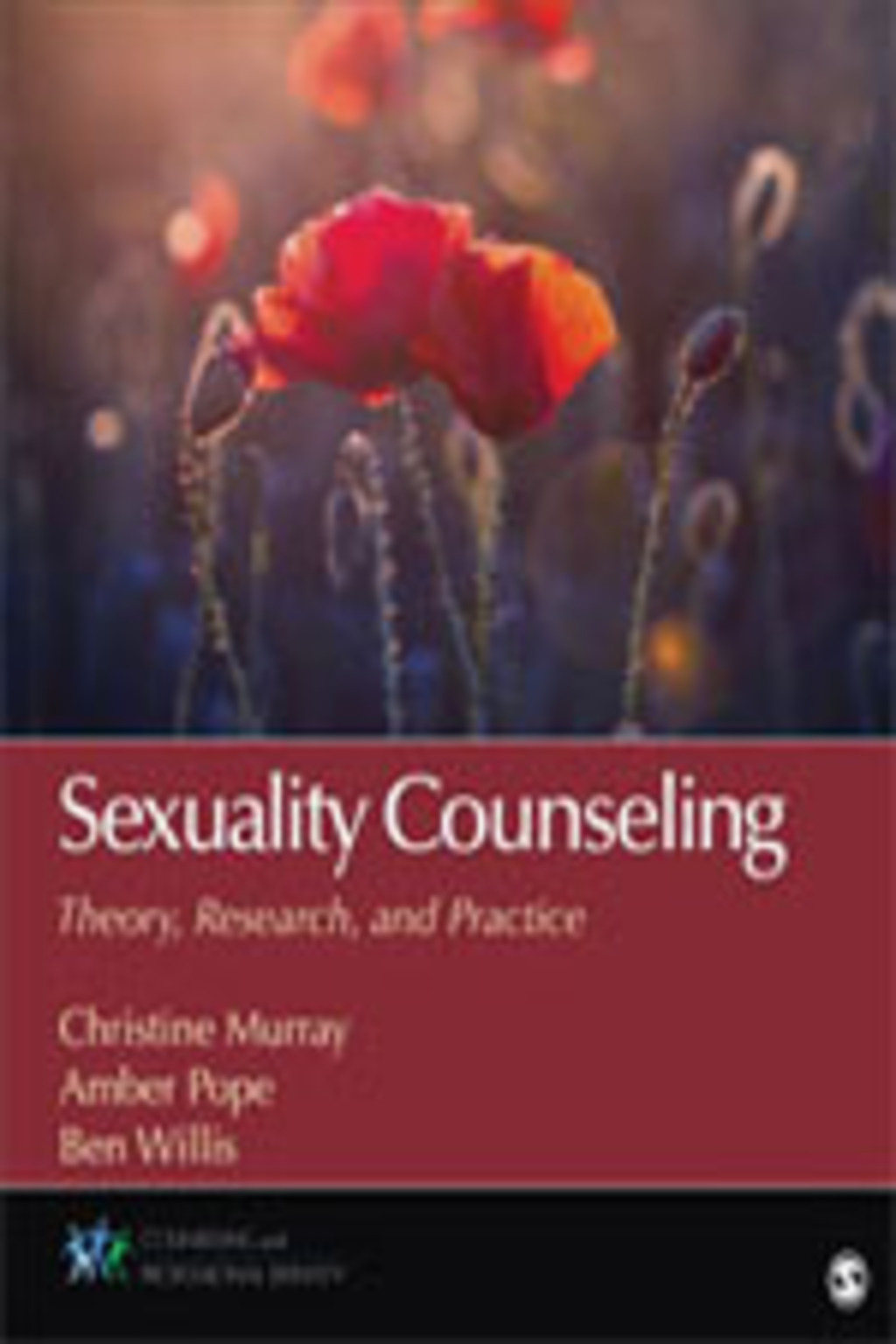 Sexuality Counseling: Theory, Research, and Practice 1st Edition