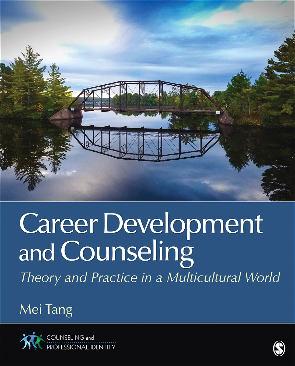 Career Development and Counseling Theory and Practice in a Multicultural World 1st Edition