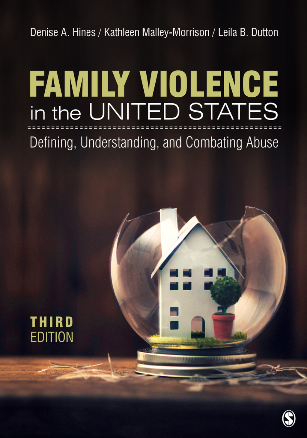 Family Violence in the United States Defining, Understanding, and Combating Abuse 3rd Edition