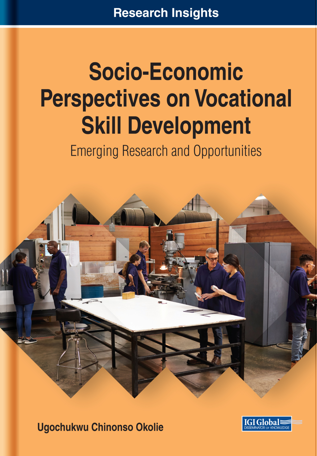 Socio-Economic Perspectives on Vocational Skill Development: Emerging Research and Opportunities 