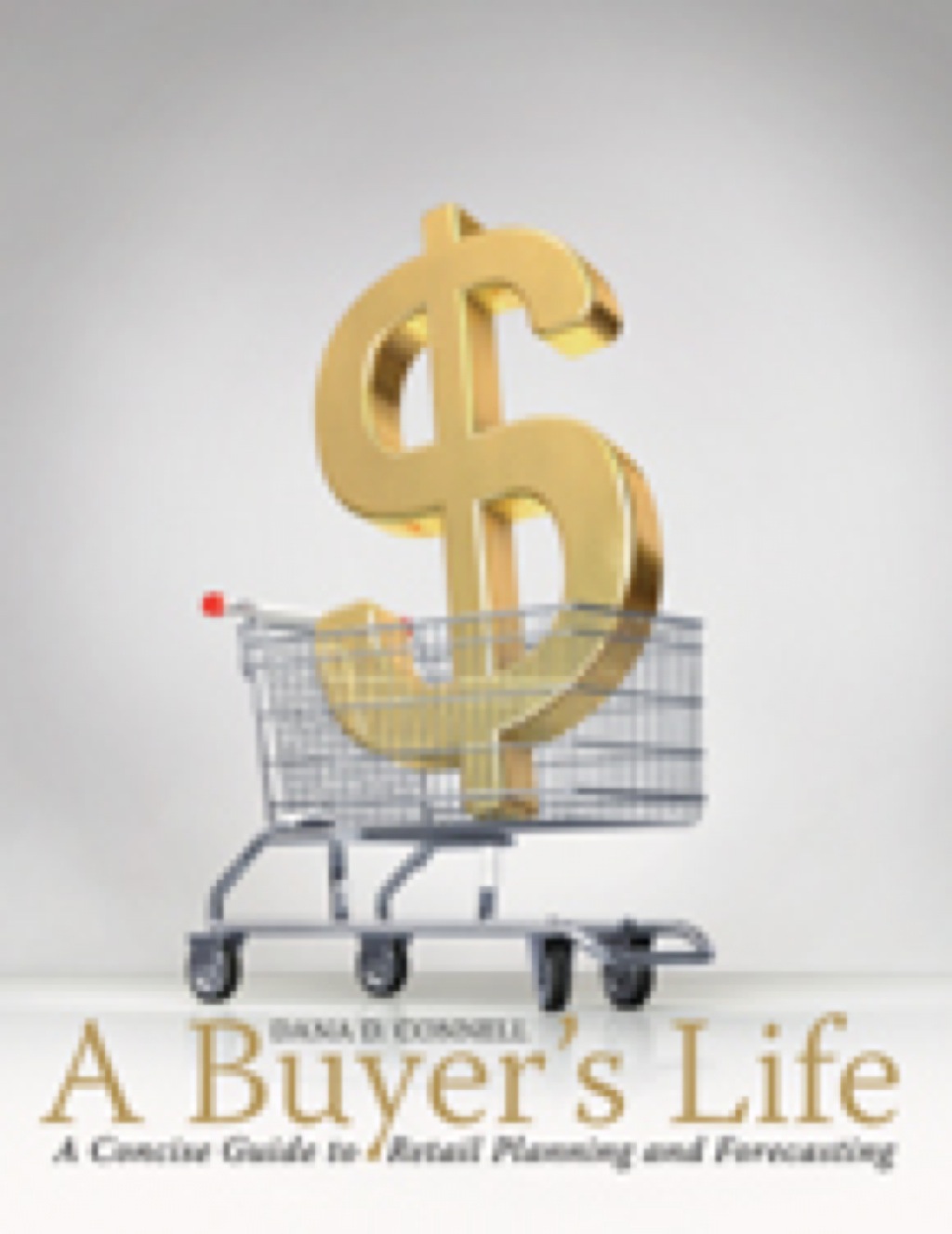 A Buyer's Life: A Concise Guide to Retail Planning and Forecasting 