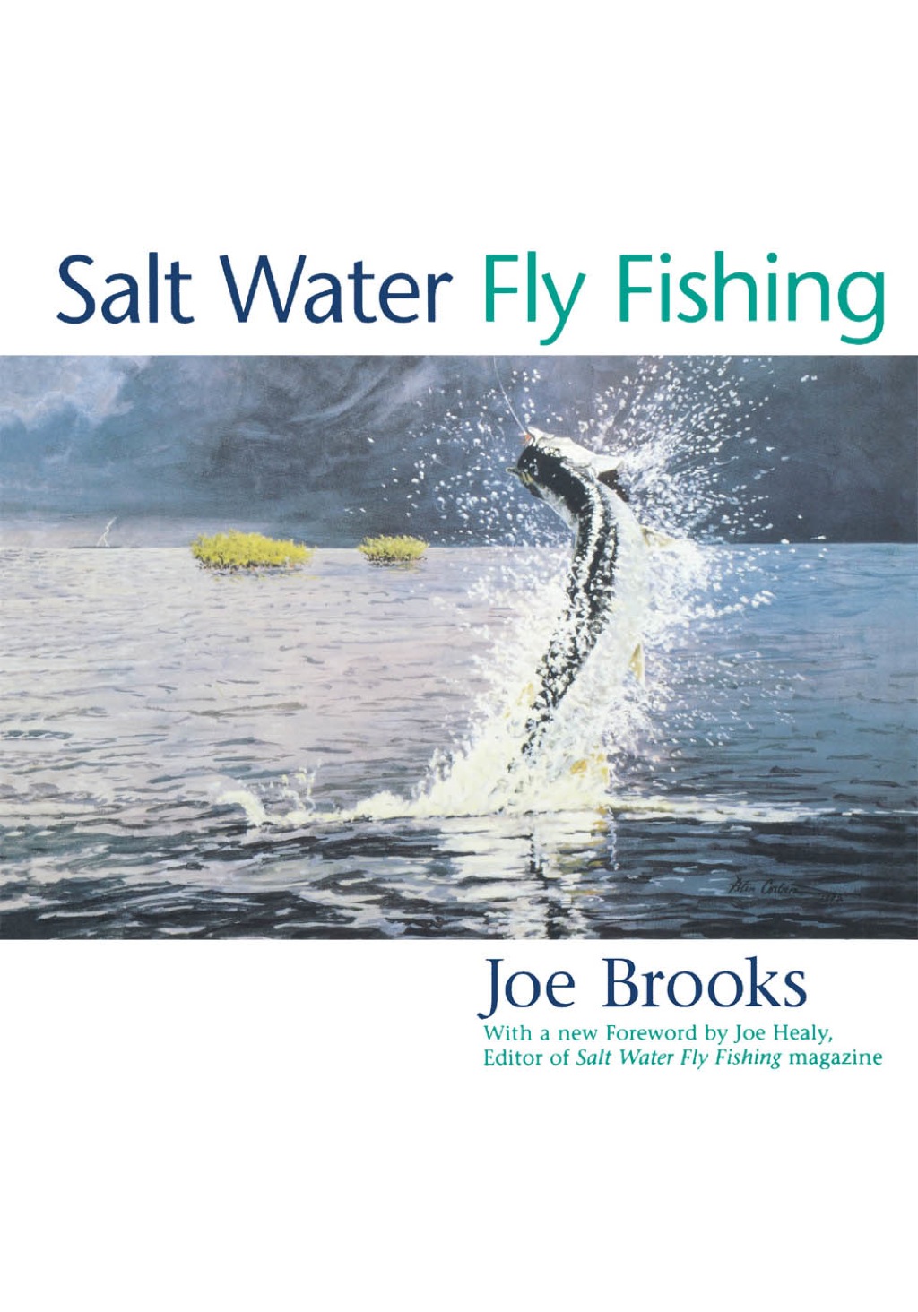Salt Water Fly Fishing 