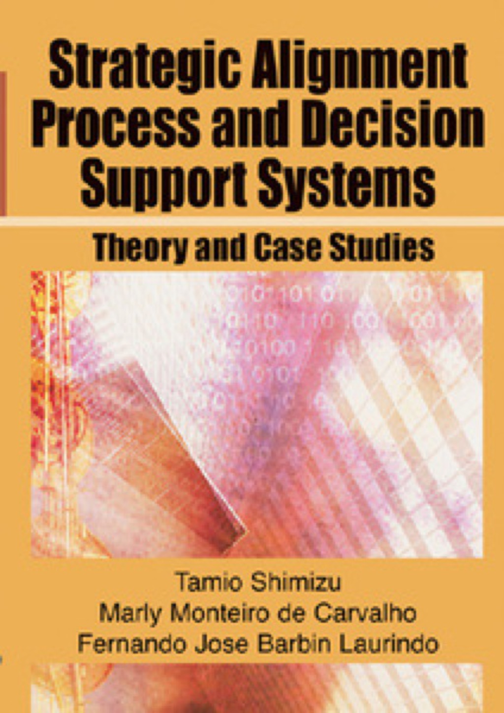 Strategic Alignment Process and Decision Support Systems 