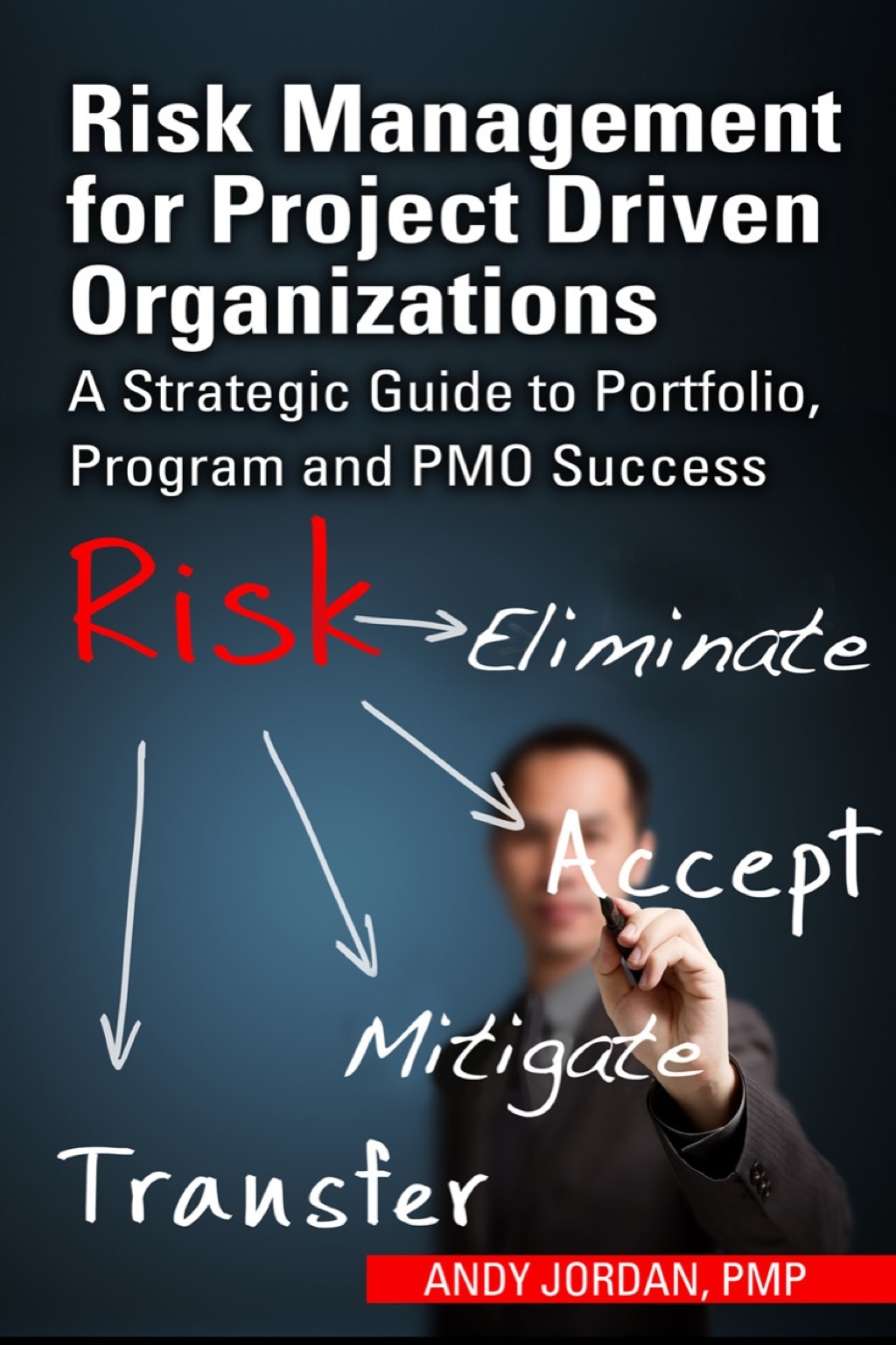 Risk Management for Project Driven Organizations 1st Edition
