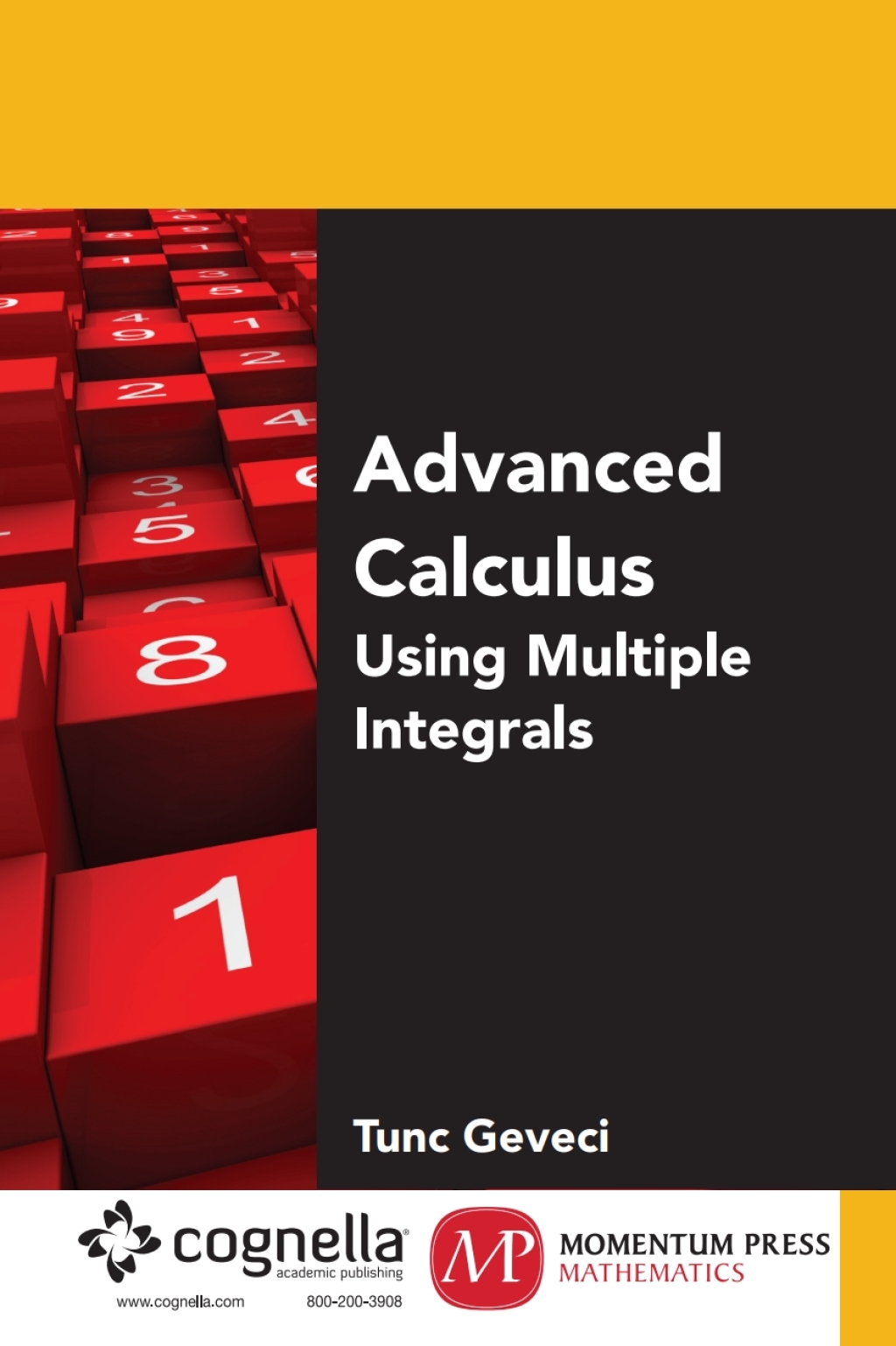Advanced Calculus Using Multiple Integrals 