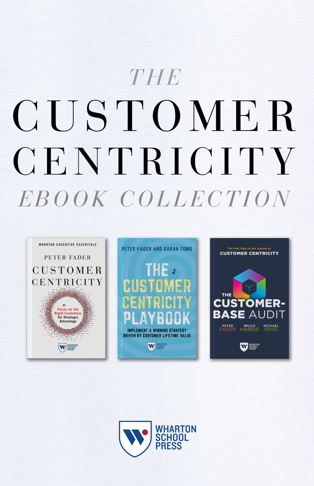 The Customer Centricity Ebook Collection (3 Books) Customer Centricity, The Customer Centricity Playbook, and The Customer-Base Audit 