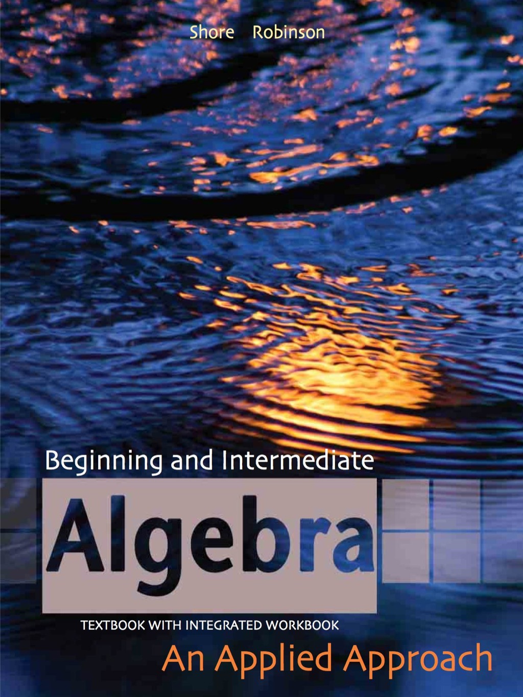Beginning and Intermediate Algebra: An Applied Approach 1st Edition