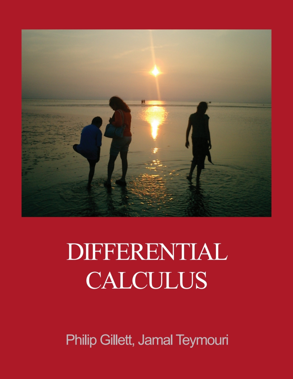 Differential Calculus 1st Edition