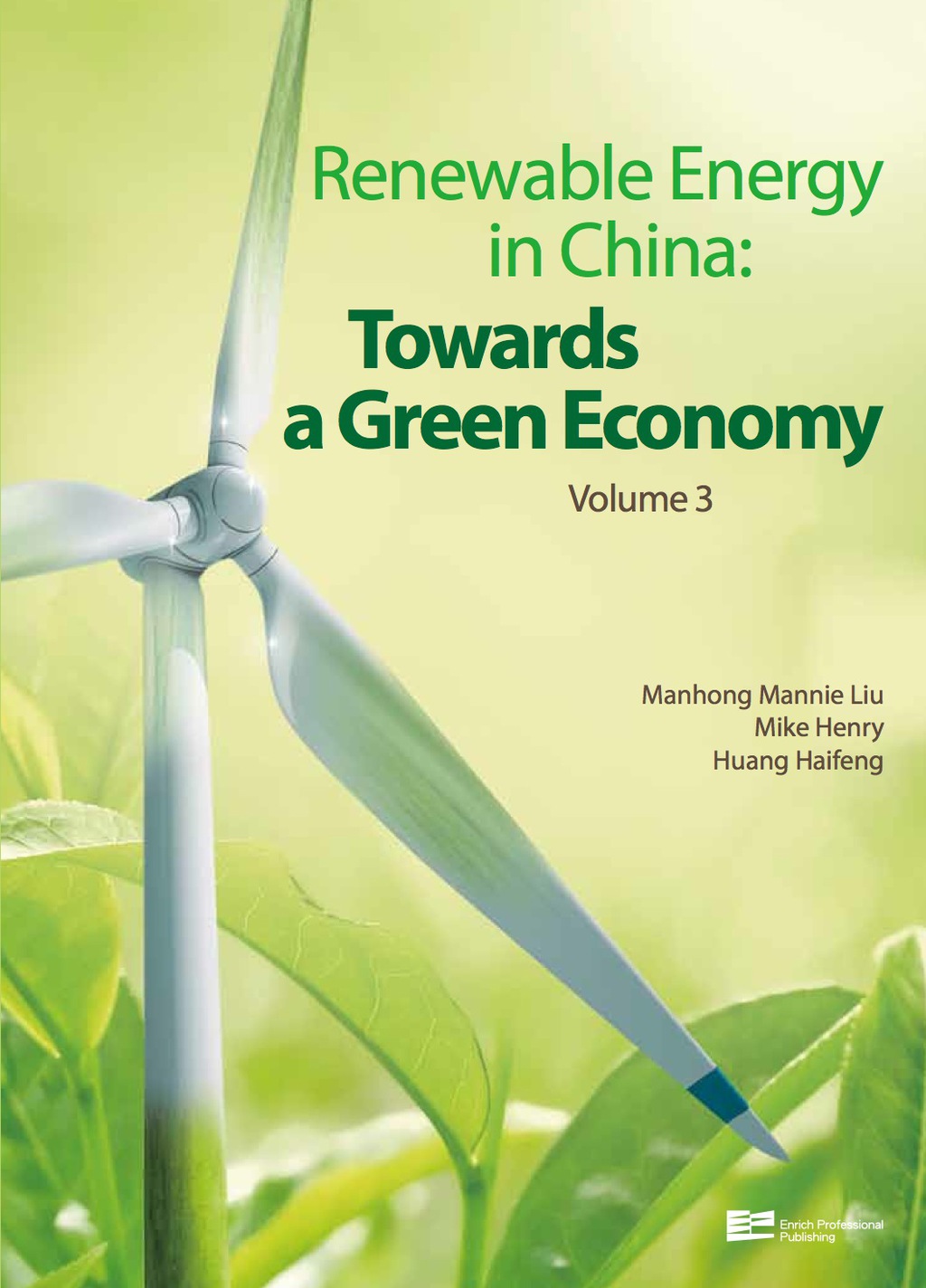 Renewable Energy in China Towards a Green Economy 