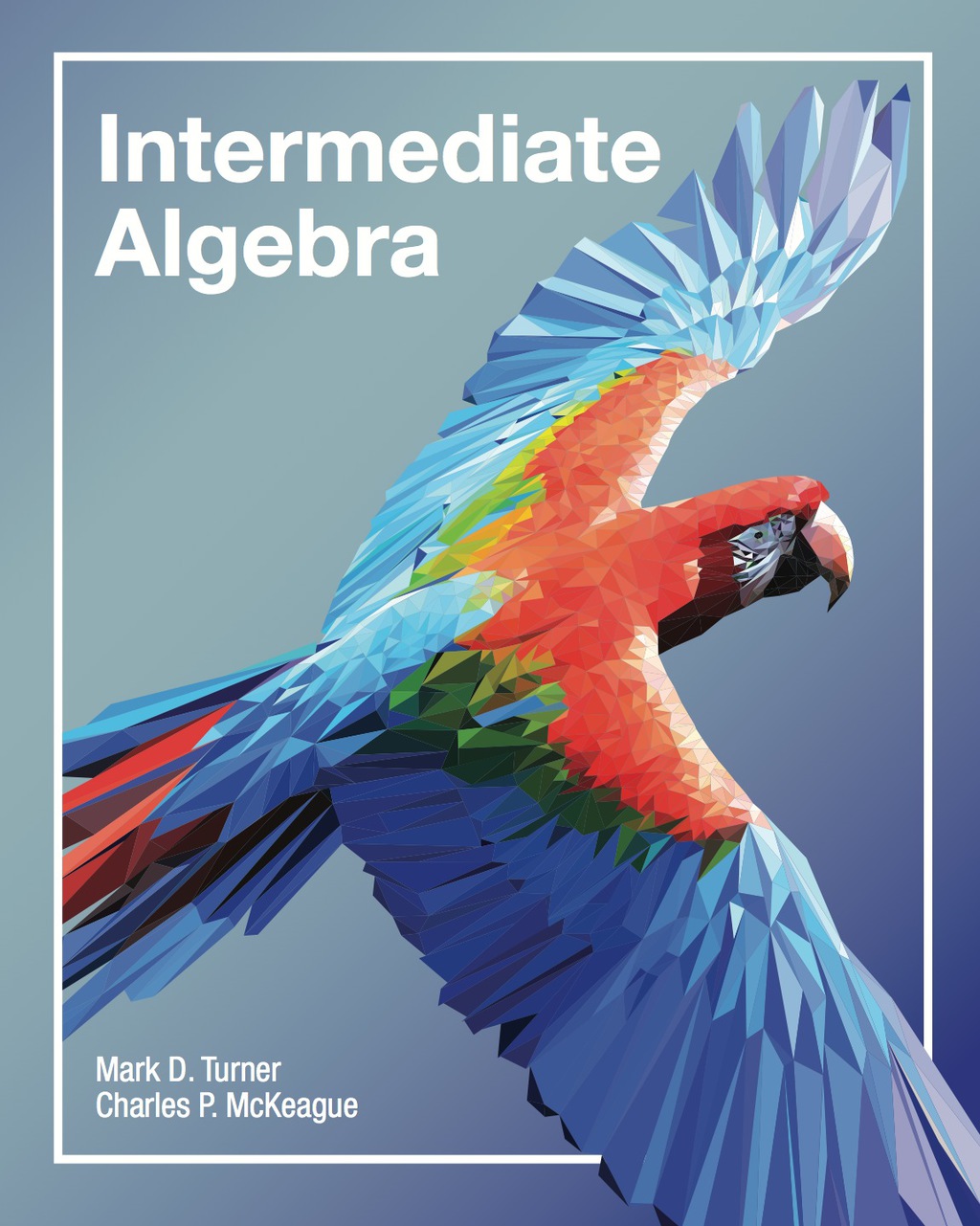 Intermediate Algebra 1st Edition