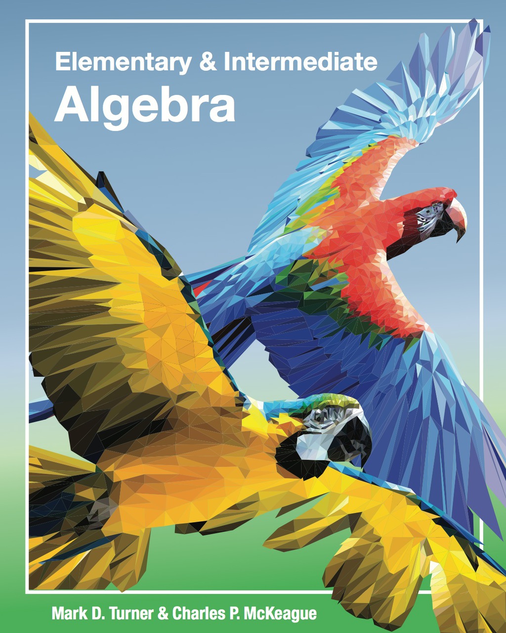 Elementary & Intermediate Algebra 1st Edition