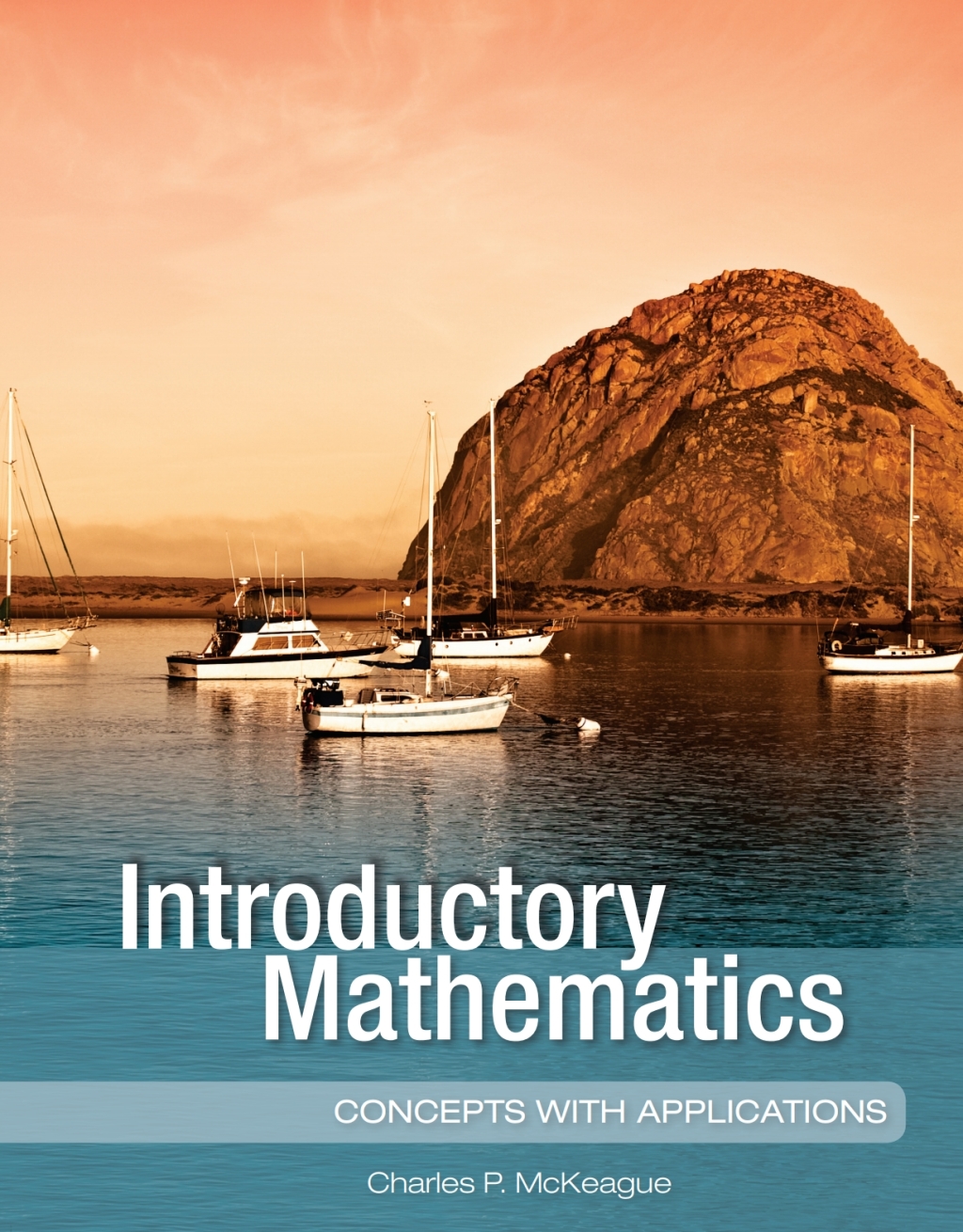 Introductory Mathematics: Concepts with Applications 1st Edition
