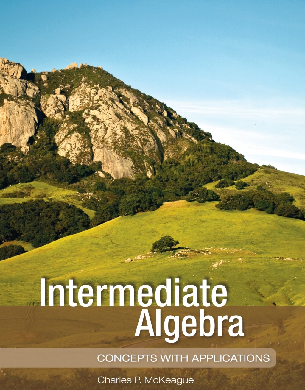 Intermediate Algebra: Concepts with Applications 1st Edition