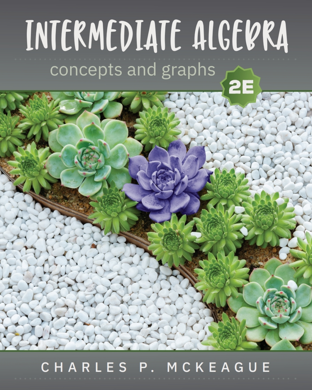 Intermediate Algebra: Concepts and Graphs 2nd Edition