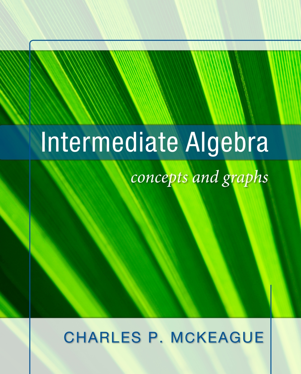 Intermediate Algebra: Concept and Graphs 1st Edition