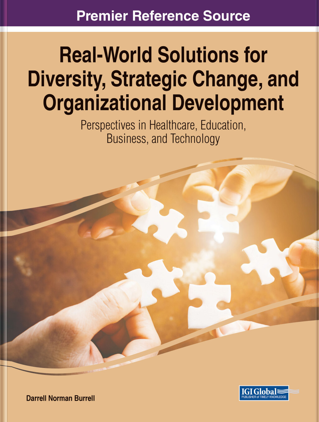 Real-World Solutions for Diversity, Strategic Change, and Organizational Development: Perspectives in Healthcare, Education, Business, and Technology 