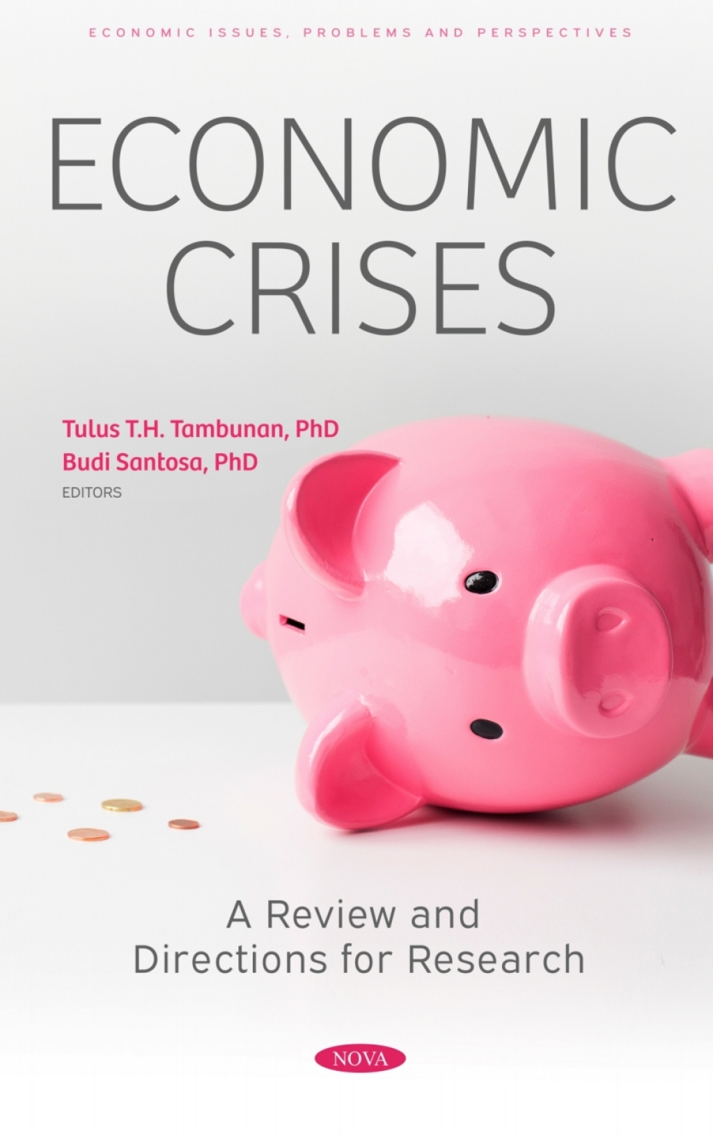 Economic Crises: A Review and Directions for Research 
