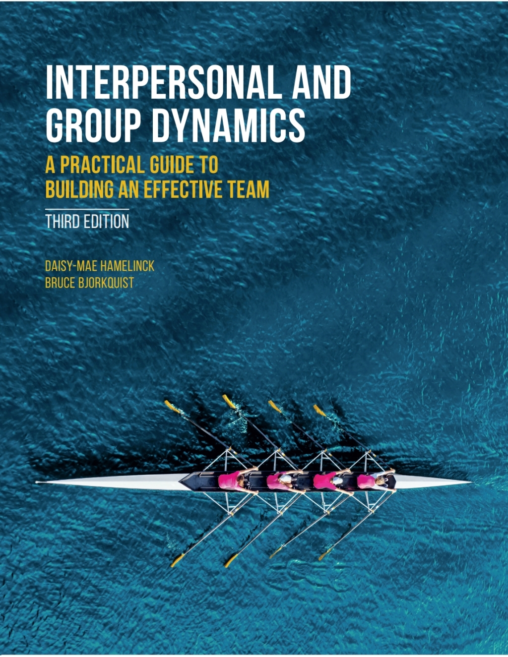 Interpersonal and Group Dynamics: A Practical Guide to Building an Effective Team 3rd Edition