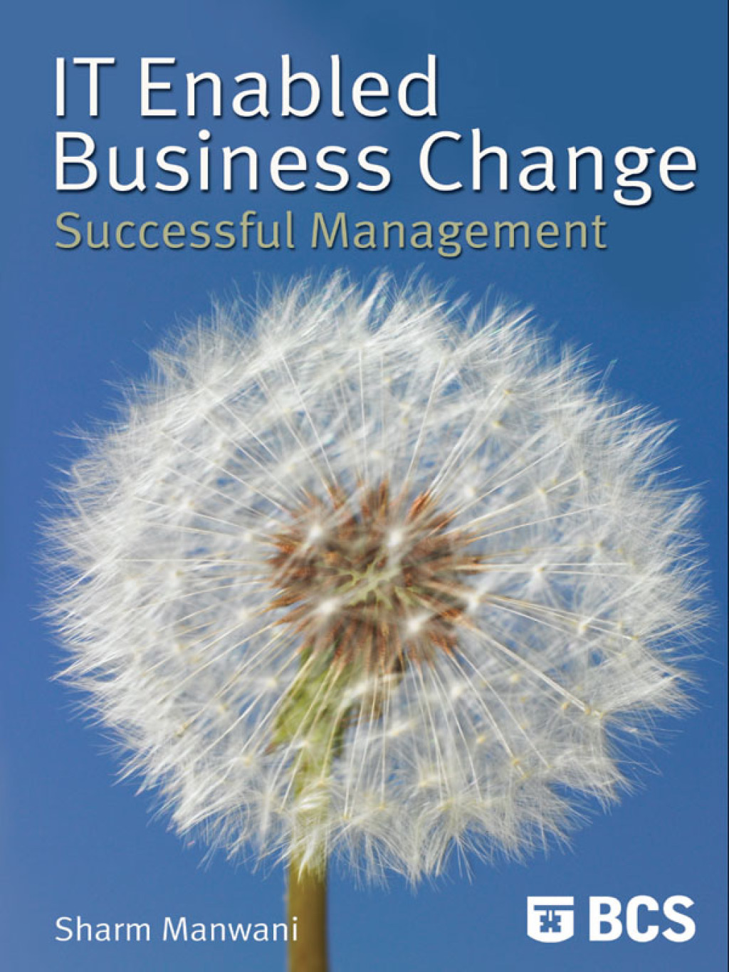 IT-Enabled Business Change Successful Management 1st Edition