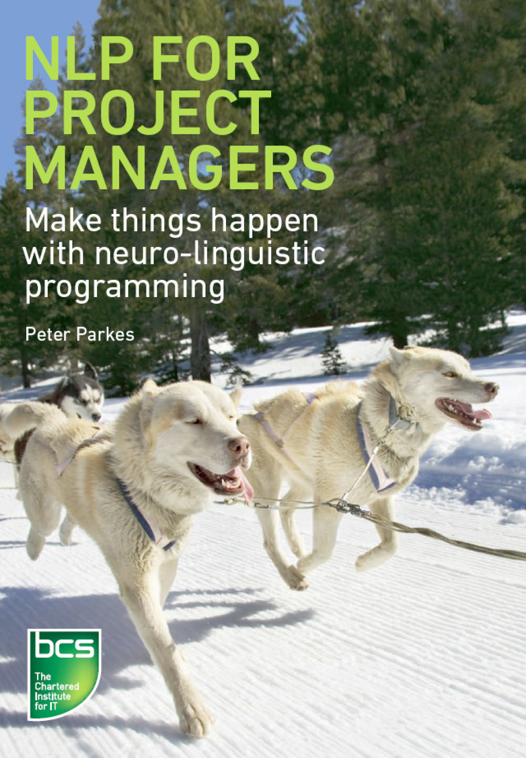 NLP for Project Managers Make things happen with neuro-linguistic programming 1st Edition