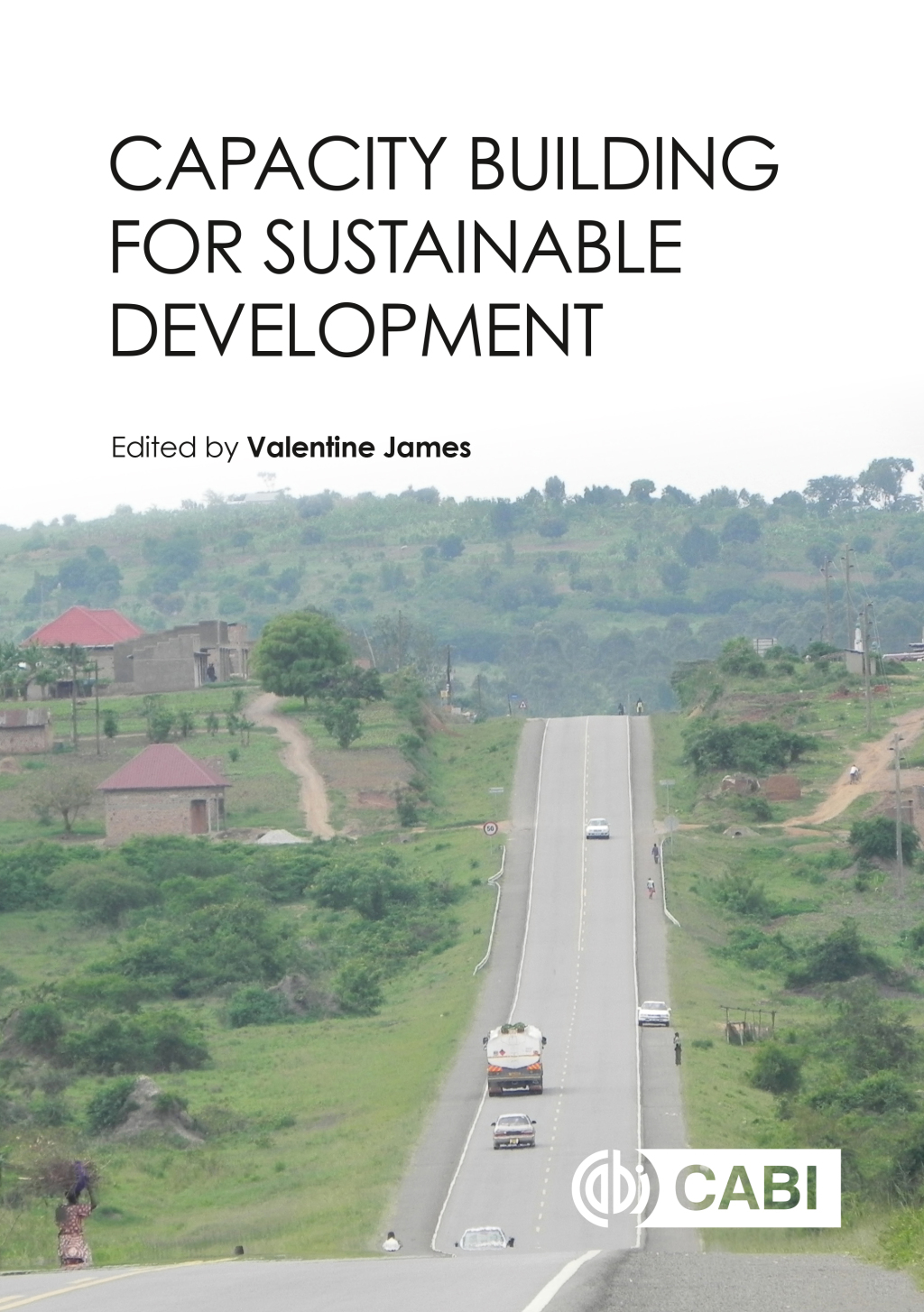 Capacity Building for Sustainable Development 1st Edition