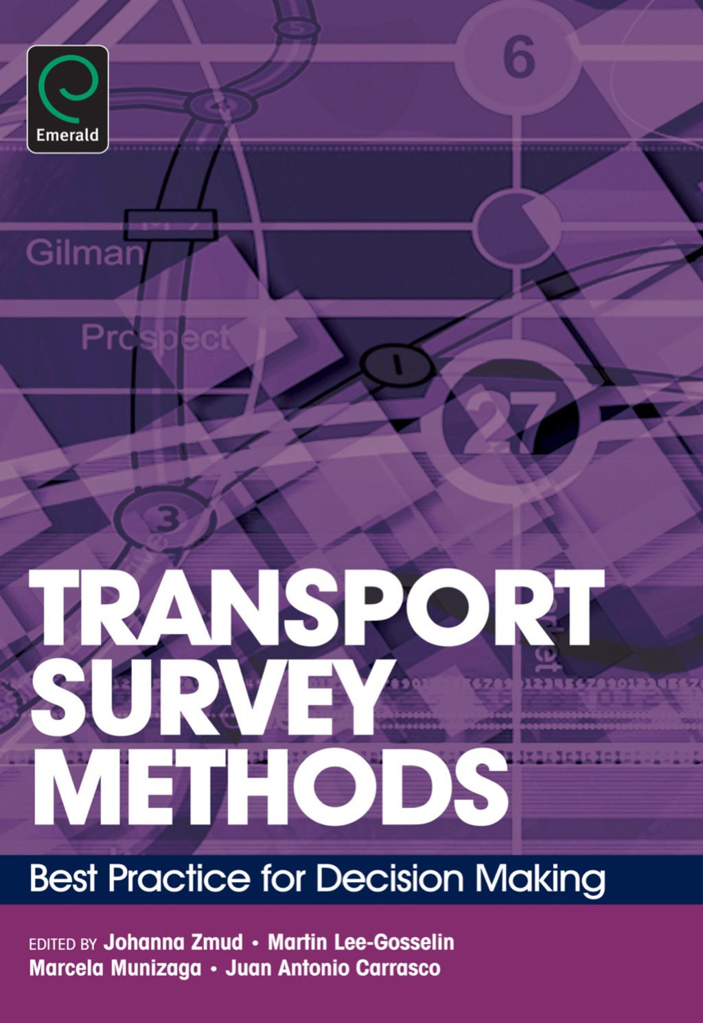 Transport Survey Methods Best Practice for Decision Making 