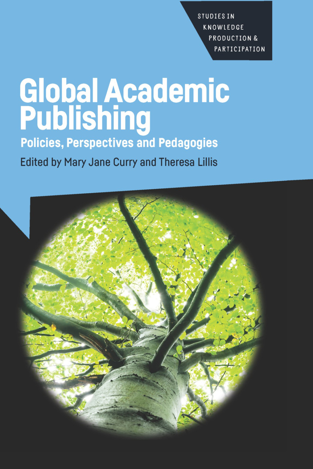 Global Academic Publishing Policies, Perspectives and Pedagogies 1st Edition