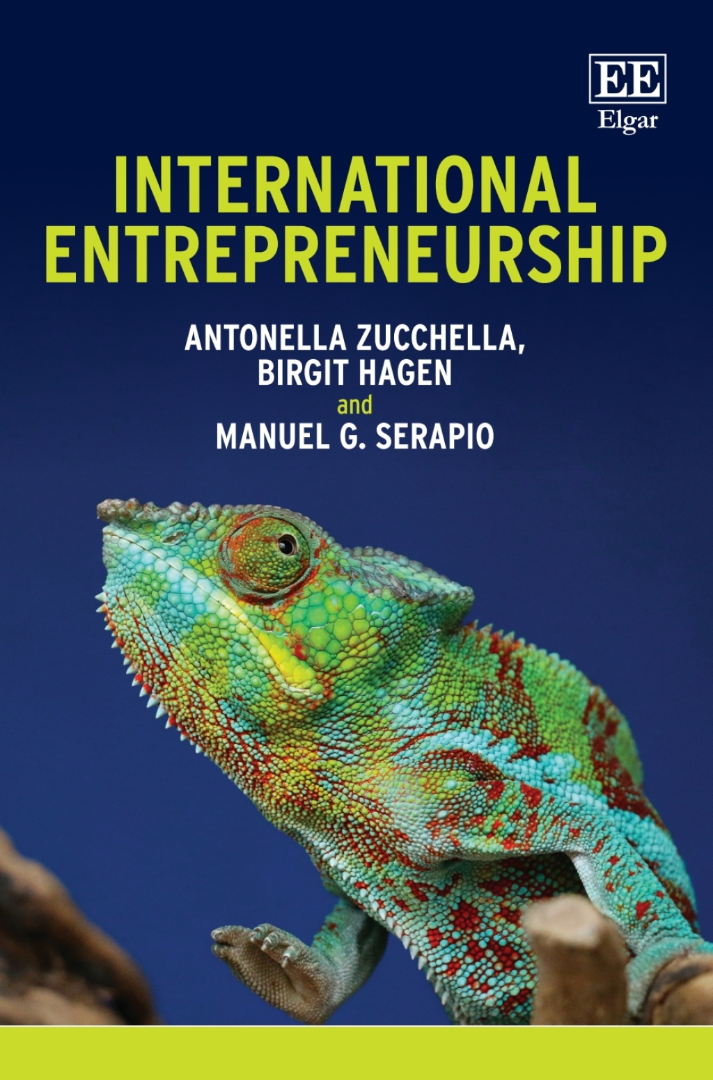 International Entrepreneurship 1st Edition
