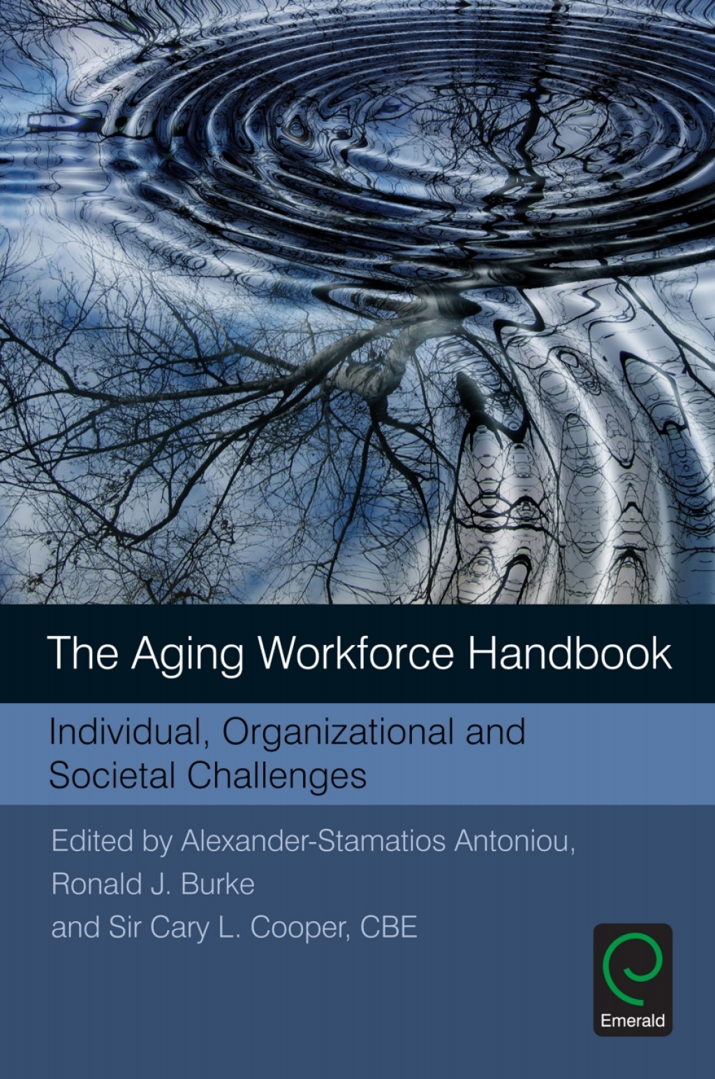 The Aging Workforce Handbook Individual, Organizational and Societal Challenges 