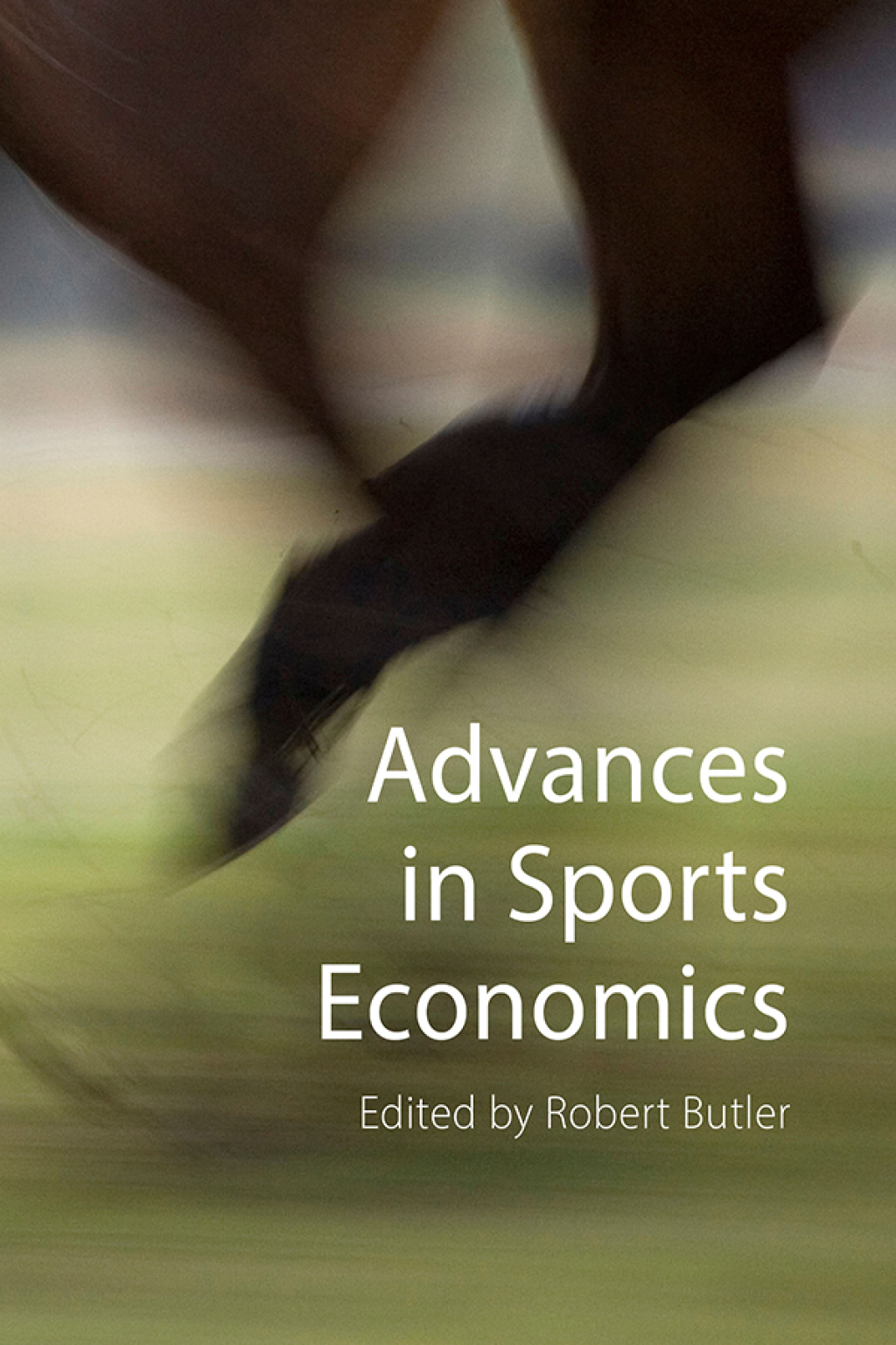 Advances in Sports Economics 1st Edition