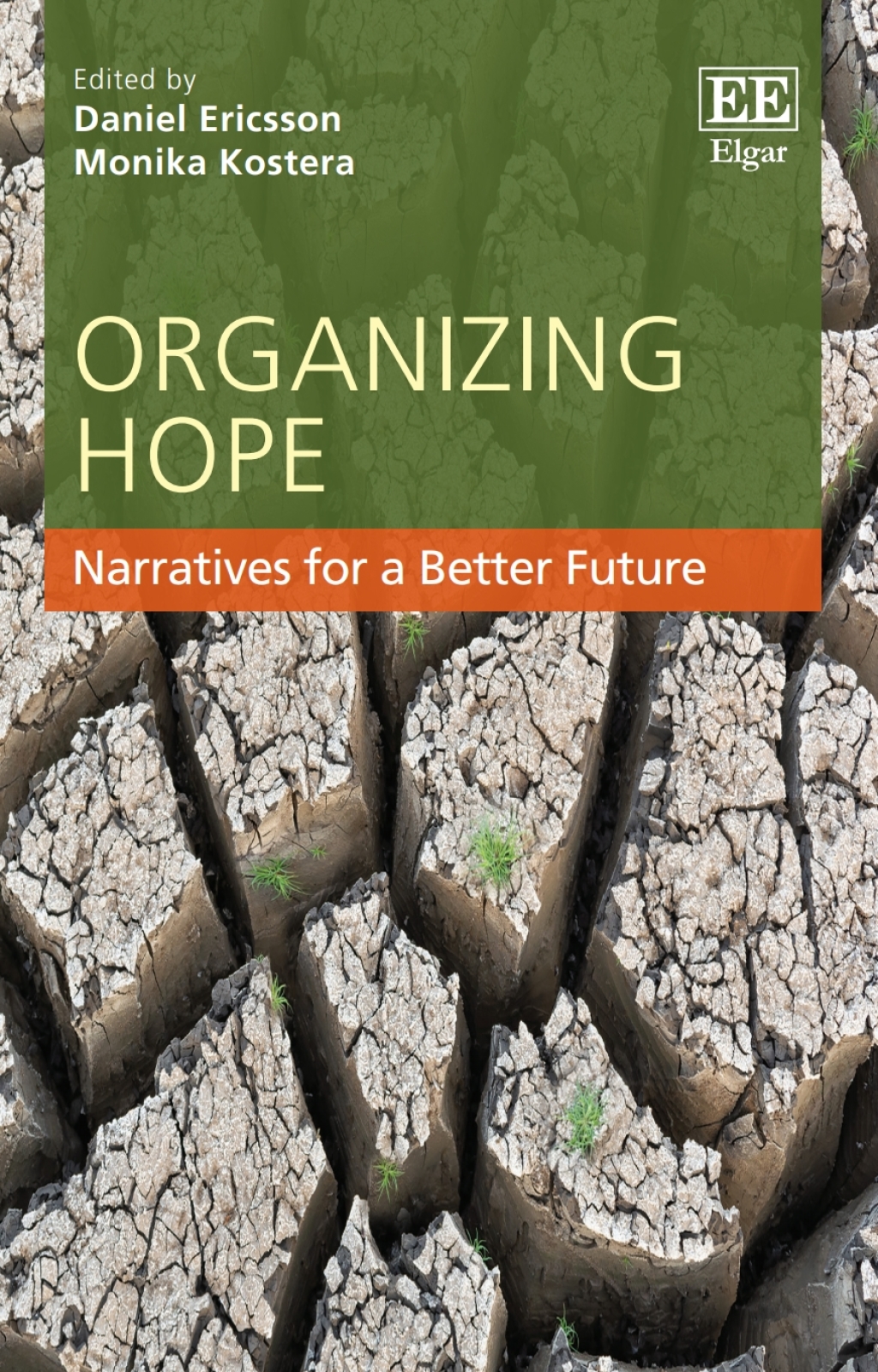 Organizing Hope 1st Edition