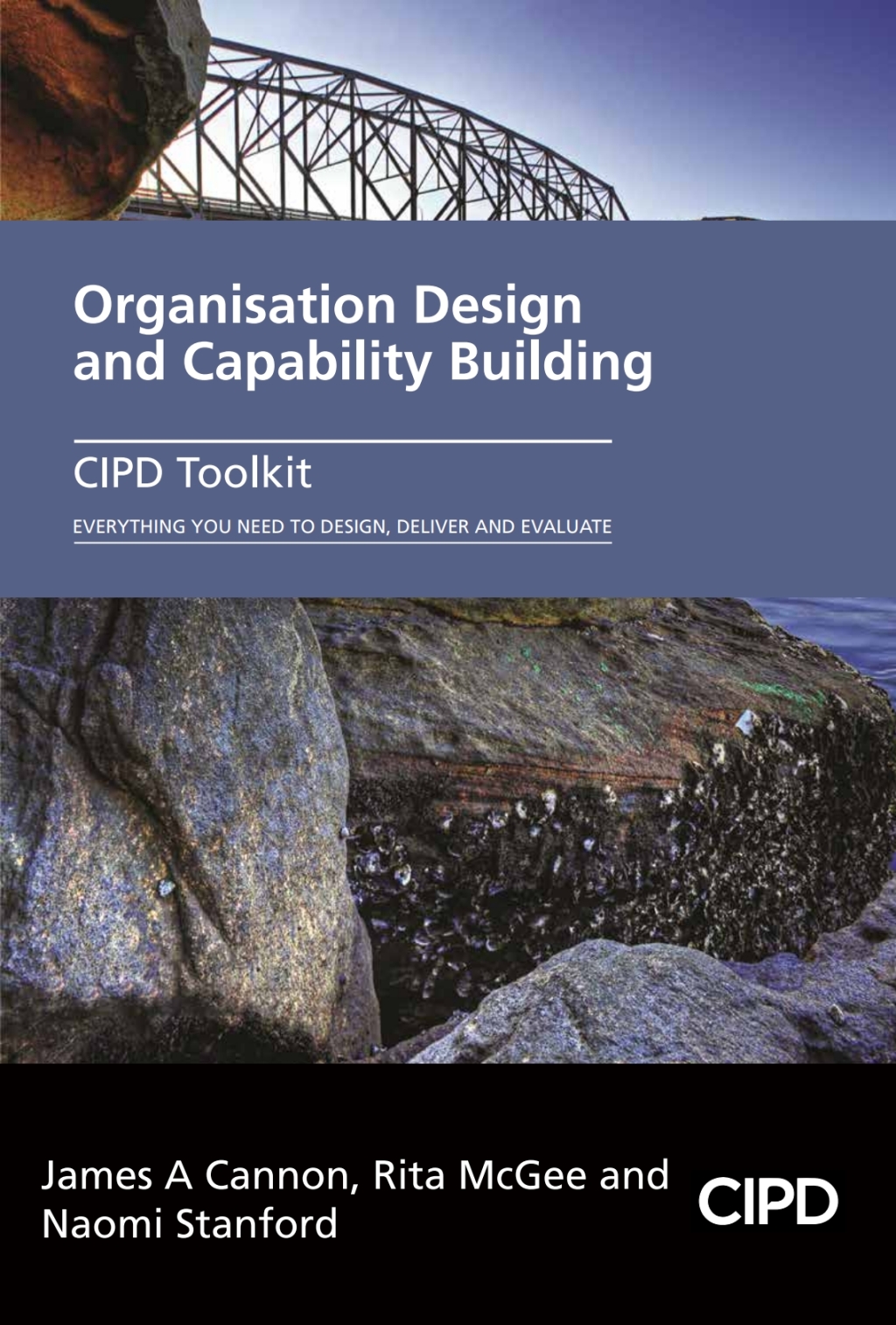 Organisation Design and Capability Building 1st Edition