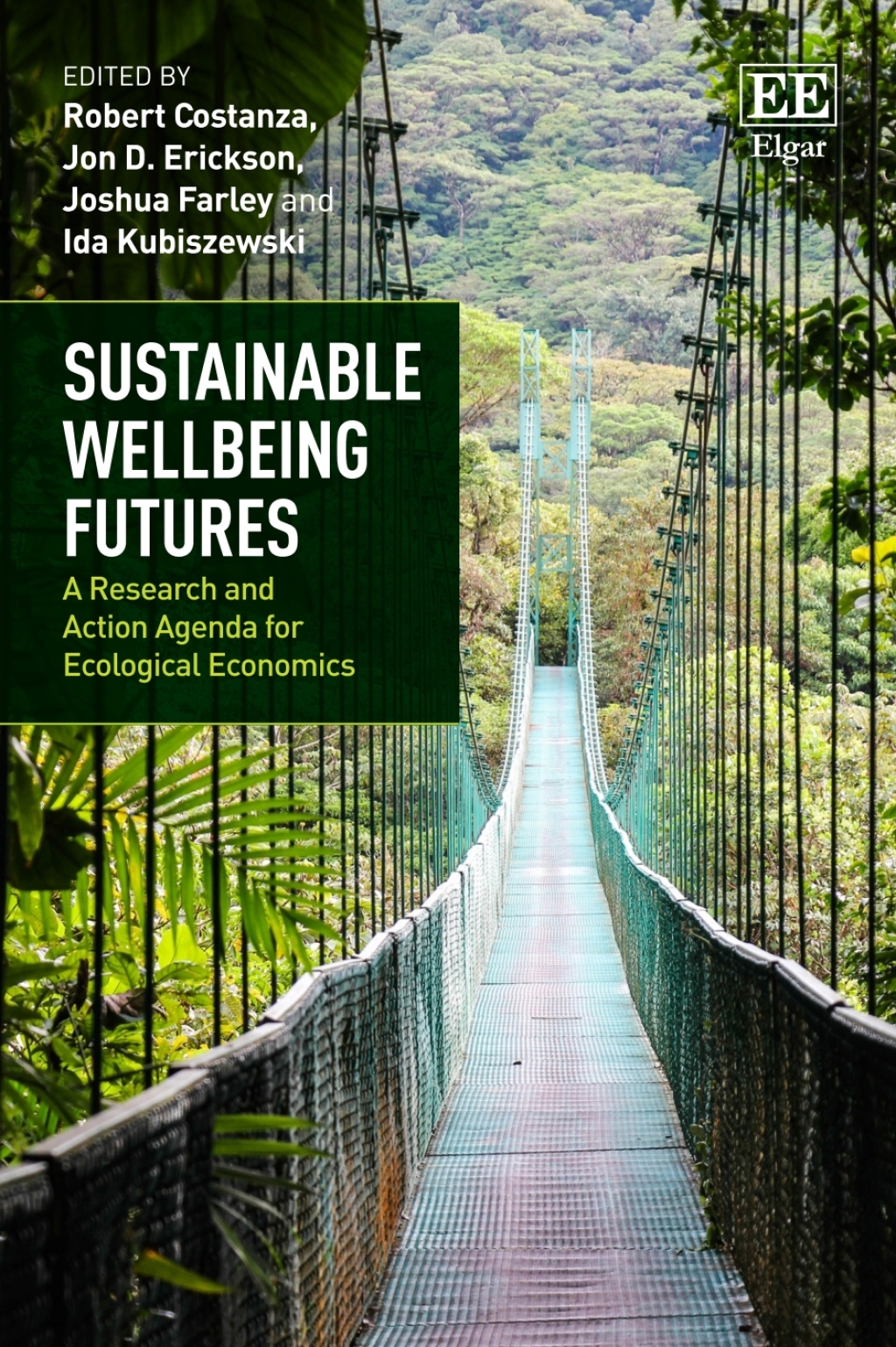 Sustainable Wellbeing Futures 1st Edition